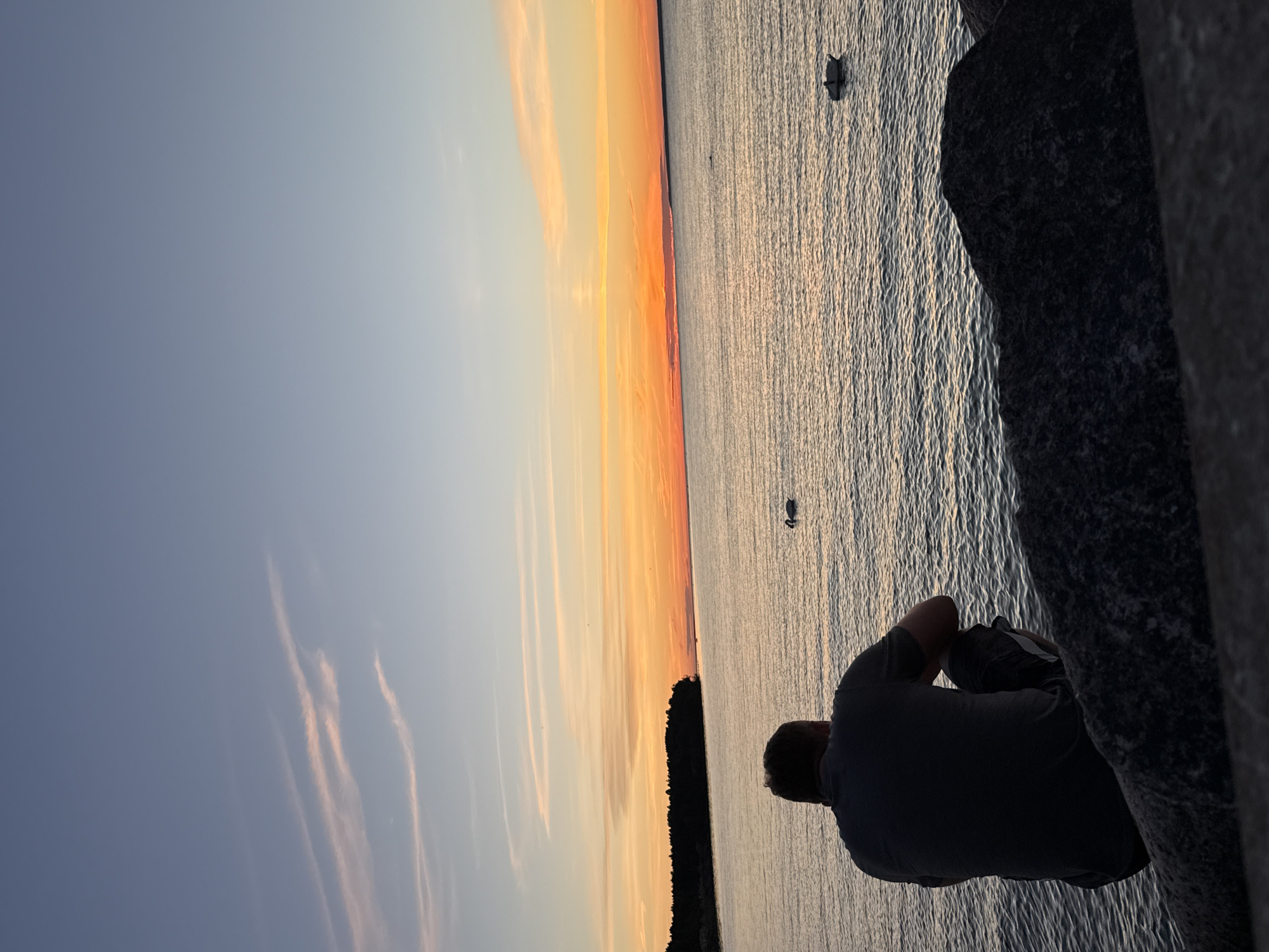 A person is crouched on large rocks overlooking a body of water. The person is facing away from the camera, looking towards a sunset over the water. The sky is a gradient of blue to orange, with streaks of pink and yellow clouds. There are three swans visible in the water. The scene appears to be a natural setting, possibly a waterfront park or coastline, with trees visible on the distant shore. The rocks in the foreground are dark and rough. The lighting suggests it is either sunrise or sunset. The location is not specified.