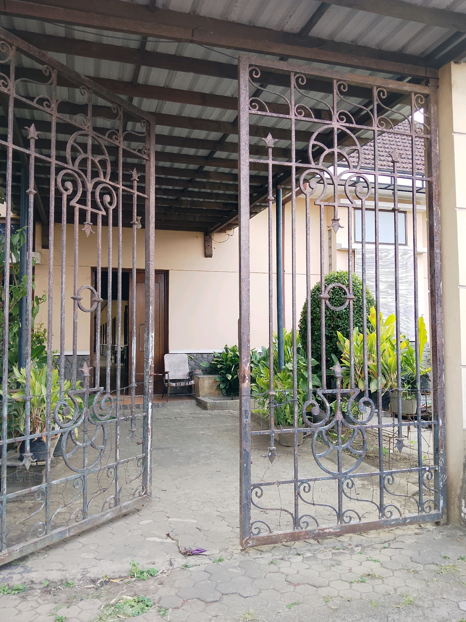 The image shows an open, rusty metal gate leading into a property. Beyond the gate, a paved walkway leads to a beige-colored building with a dark wooden door and a window with vertical blinds. To the right of the door, a single chair with a white cushion is visible. Lush green plants are situated in pots and planters to the left and right of the walkway. A rounded, manicured green bush stands in the center, behind the plants on the right. The gate itself is made of wrought iron with decorative scrollwork and finials. The scene appears to be a residential entrance, likely in a city like Malang, Indonesia, given the architectural style and vegetation.