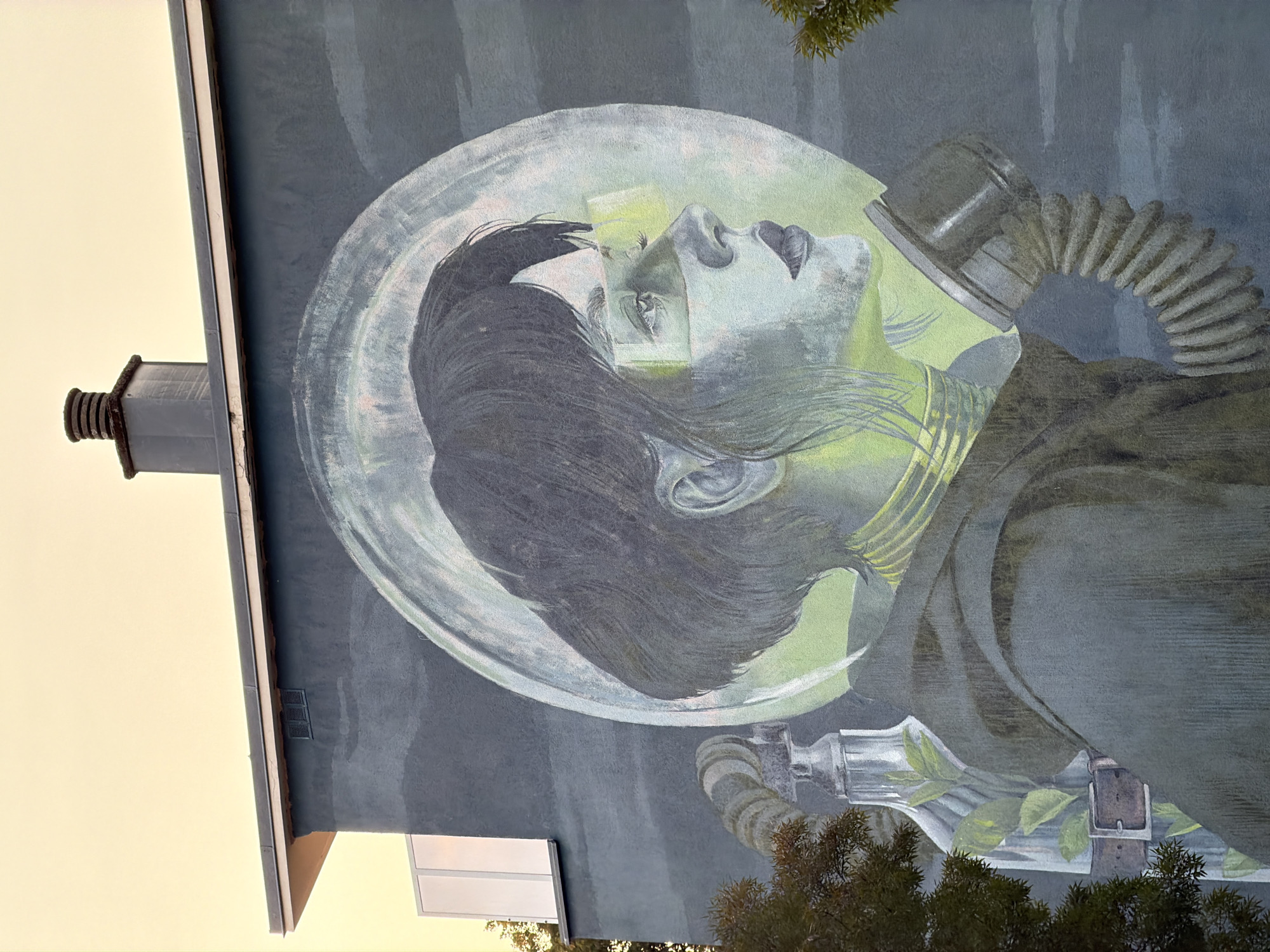 A large mural depicting a woman in a retro-futuristic astronaut suit is painted on the side of a building in Esch-sur-Alzette, Luxembourg. The mural is rendered in muted tones of grey, green, and yellow, with the woman's face illuminated by a green light. She wears a large, bubble-like helmet, a thick collar, and a hose connected to a gas mask. To her left, a glass bottle containing green leaves is attached to a belt. The building itself appears to be a multi-story structure with a grey facade, a slanted roof, and a chimney at the top. The sky above is a pale yellow, suggesting either dawn or dusk. Trees with dark green foliage frame the lower left and right sides of the mural.