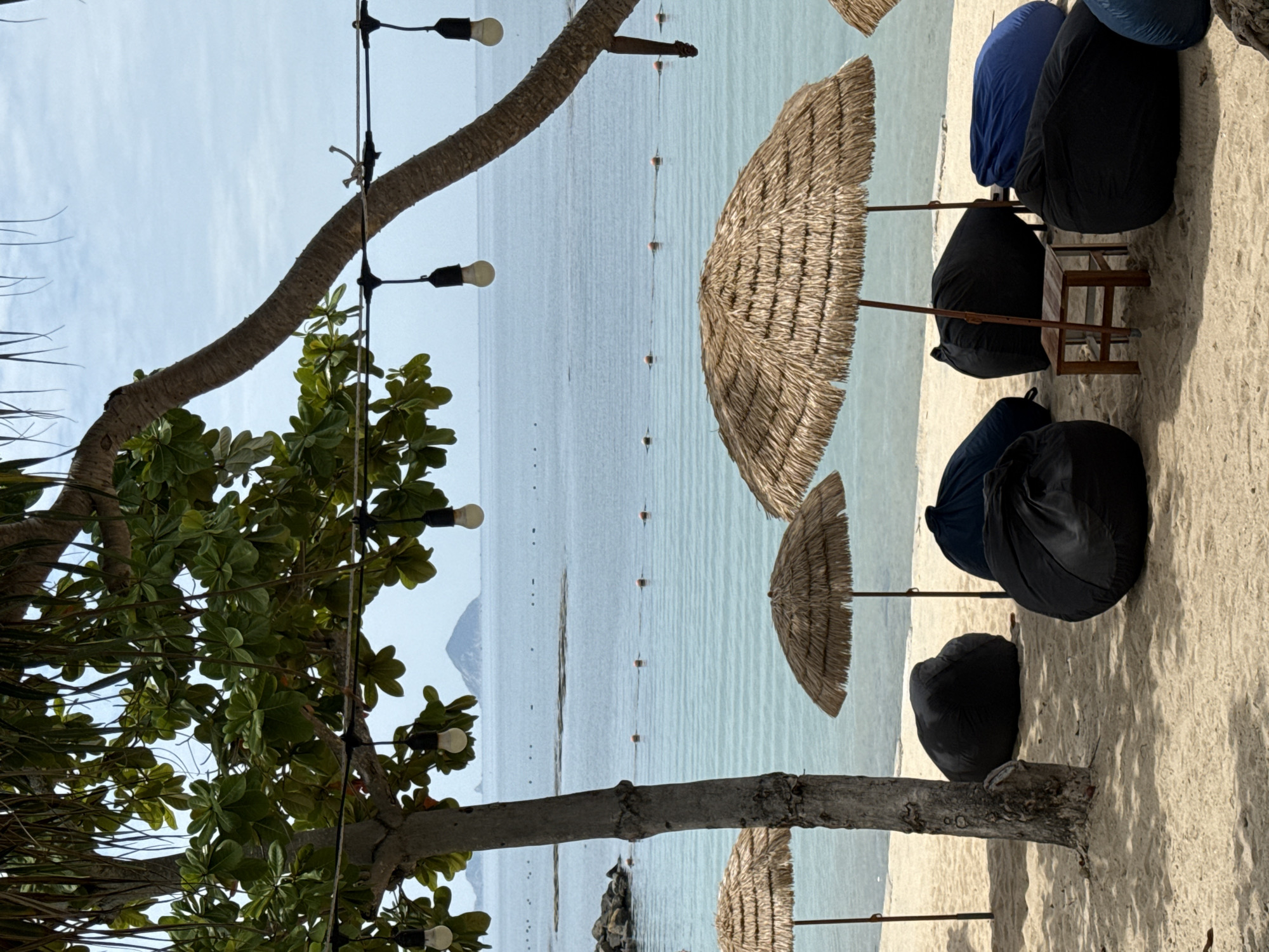 The image depicts a serene beach scene in Nha Trang, Vietnam, likely at a resort or beachfront cafe. In the foreground, a sandy beach is dotted with several large, dark beanbag chairs, some black and one blue, arranged casually. Two thatched umbrellas, supported by wooden poles, offer shade over two of the beanbag seating areas. A small, rustic wooden stool sits between two beanbags under one of the umbrellas.
A thick tree trunk, with rough bark, stands prominently in the left half of the frame, its branches laden with lush green leaves extending overhead. Several bare light bulbs hang from a wire strung between trees, some illuminated, adding to the ambiance. Beyond the beach, the calm, turquoise ocean stretches towards the horizon, with a faint outline of islands visible in the distance under a pale blue sky. A series of small buoys mark a boundary in the water. The overall atmosphere is tranquil and inviting, suggesting a relaxing day by the sea.