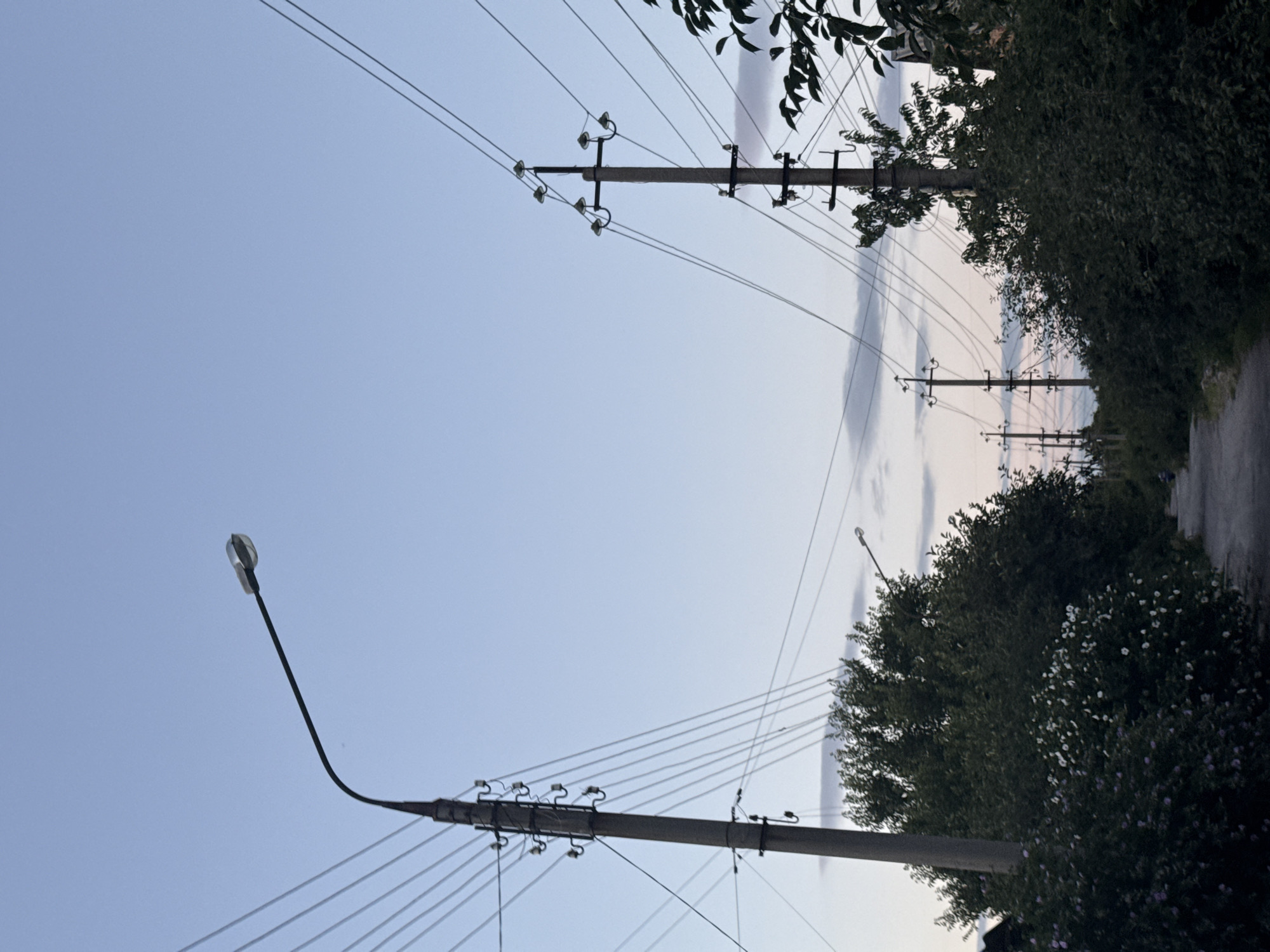 The image depicts a residential street in Zaporizhzhia, Ukraine, likely at dusk. A paved path runs through the center, bordered by dense, dark green foliage and bushes dotted with small white flowers. Overhead, a network of power lines crisscrosses the pale blue sky, supported by multiple concrete utility poles. One prominent pole on the left features a street lamp extending outward. Further down the path, another utility pole with multiple insulators and wires is visible, with additional poles receding into the distance. The sky is a soft gradient of blue with wispy clouds. The overall impression is one of a quiet, somewhat utilitarian urban environment transitioning into evening.