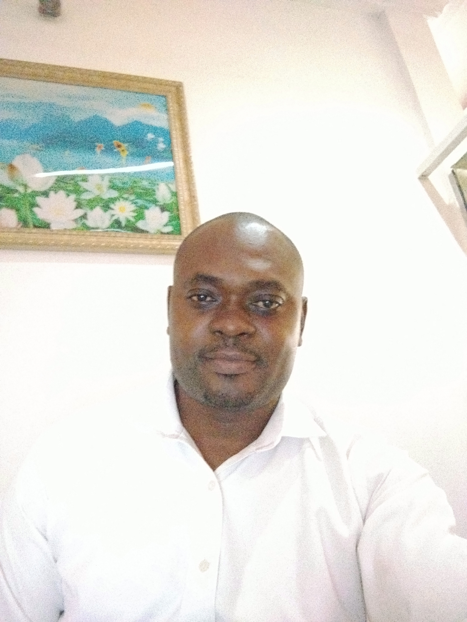 The image displays a head-and-shoulders portrait of a dark-skinned man in an indoor setting, likely in Gwarinpa, Nigeria. He is positioned centrally, looking directly at the camera with a neutral, calm expression. The man appears to be middle-aged, with a shaved head and a short beard or stubble. He is wearing a long-sleeved white collared shirt.
Behind the man, on a plain white wall, hangs a framed painting. The frame is a light gold color, and the artwork within depicts a serene landscape. The painting features blue mountains under a light blue sky, with a faint yellow sun visible in the upper right quadrant. The foreground of the painting is filled with white, lotus-like flowers with green leaves, alongside a few smaller yellow flower-like shapes. The background walls are a uniform white, indicating a bright indoor environment, possibly a room or office. No specific time of day or outdoor weather conditions are discernible, and there is no visible text in the image. The activity is the man posing for a photograph.