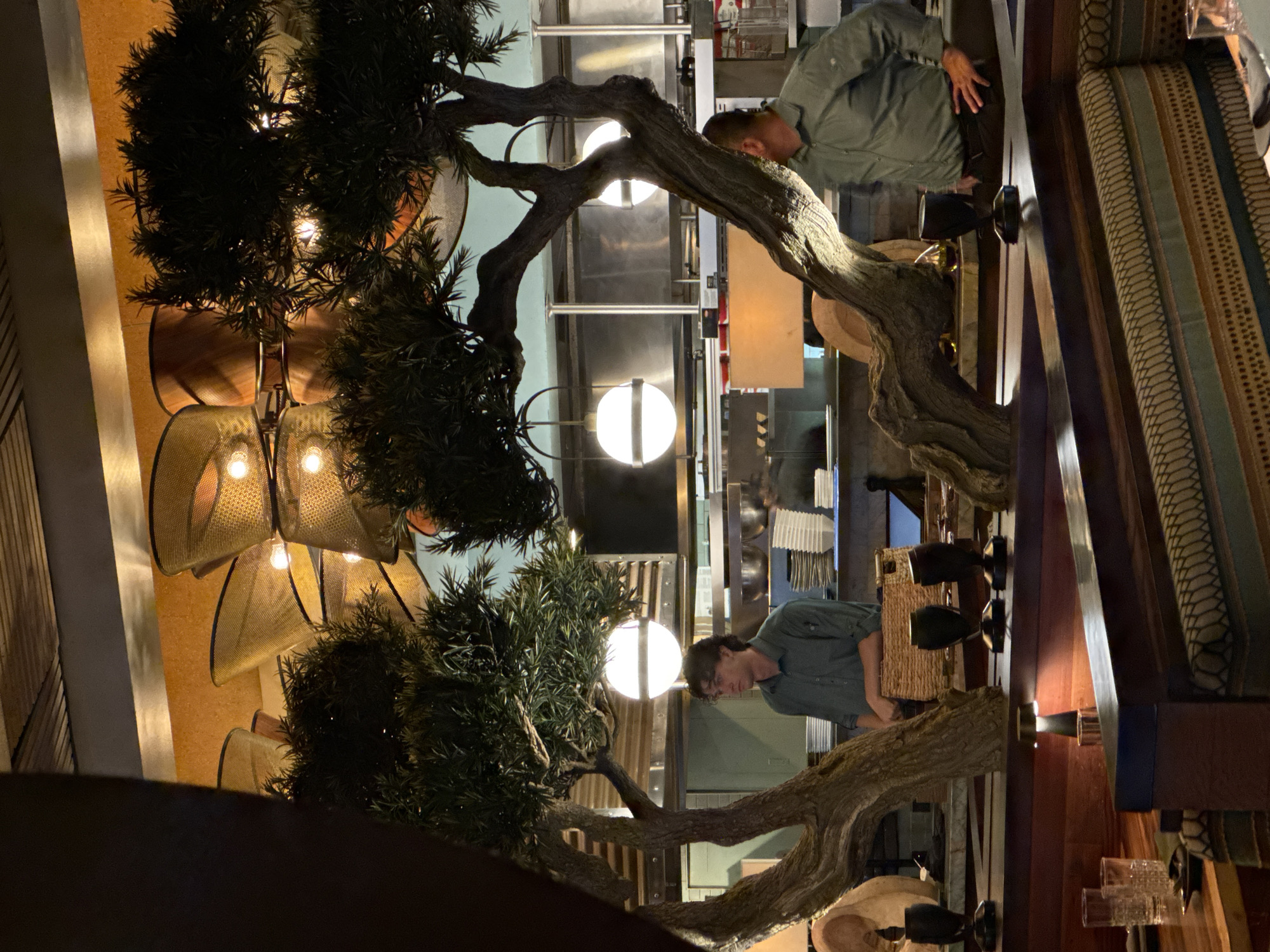 The image depicts the interior of a restaurant, likely at night, with an ambient, warmly lit atmosphere. In the foreground, to the left, a man in a green collared shirt stands behind a decorative tree with gnarled branches. He has dark, curly hair and is looking to his left. To the right, another man, also in a green collared shirt, is seen from the back, his right hand on his hip, facing away from the camera. He appears to be a member of the restaurant staff, possibly a server or chef, given his attire and proximity to what appears to be a kitchen area in the background.
The background reveals a bustling kitchen environment with stainless steel appliances and shelving stacked with various containers and dishes. Several modern globe pendant lights hang from the ceiling, casting a soft glow. Decorative artificial trees with dense green foliage are strategically placed throughout the dining area, adding a touch of nature to the upscale setting. The tables in the foreground are set with glassware and what appear to be decorative objects. The overall impression is one of a sophisticated dining establishment. The location is identified as Fort Lauderdale, United States of America, suggesting this is a scene from a restaurant within that city.
