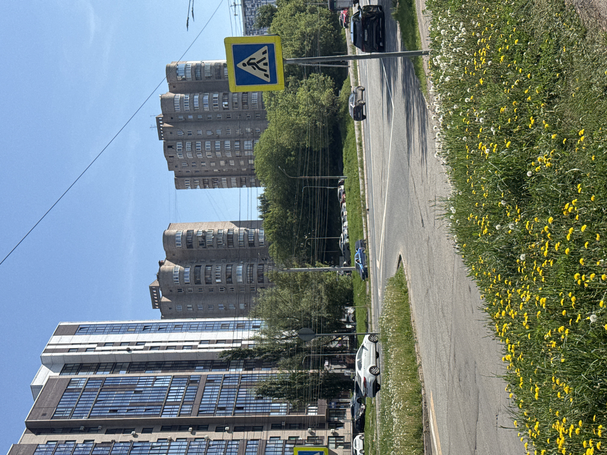 The image depicts a street scene in Izhevsk, Russia, characterized by a mix of modern and Soviet-era architecture.
**Environment:** A paved road with a single lane is visible, bordered by a grassy area overgrown with dandelions. The sky is clear and blue.
**Objects:** A pedestrian crossing sign stands prominently near the road. Cars of various colors are parked or driving along the street. Multiple buildings are visible: a modern high-rise with reflective windows, and older, Soviet-era apartment blocks.
**People:** No people are directly visible in the image.
**Actions:** Cars parked and driving.
**Interactions:** The road facilitates movement and parking for vehicles. The pedestrian crossing sign indicates a designated area for pedestrians to cross the street.
**Location:** Based on the architecture, it is determined to be Izhevsk, Russia.