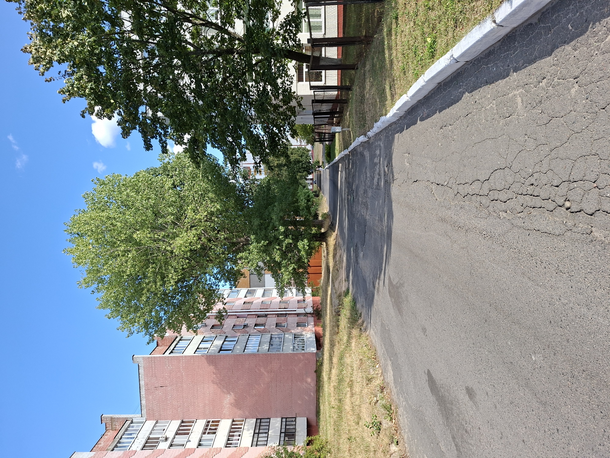 The image shows a paved road in front of apartment buildings in Mazyr, Belarus. The road is cracked and weathered. On the left, a pink brick apartment building with multiple floors and windows is visible. A large, mature tree with green foliage stands between the apartment buildings. On the right, a white apartment building with windows and a dark fence in front of it is visible, with a patch of green grass and dry grass. The sky is blue with a few white clouds. The scene appears to be a residential area.