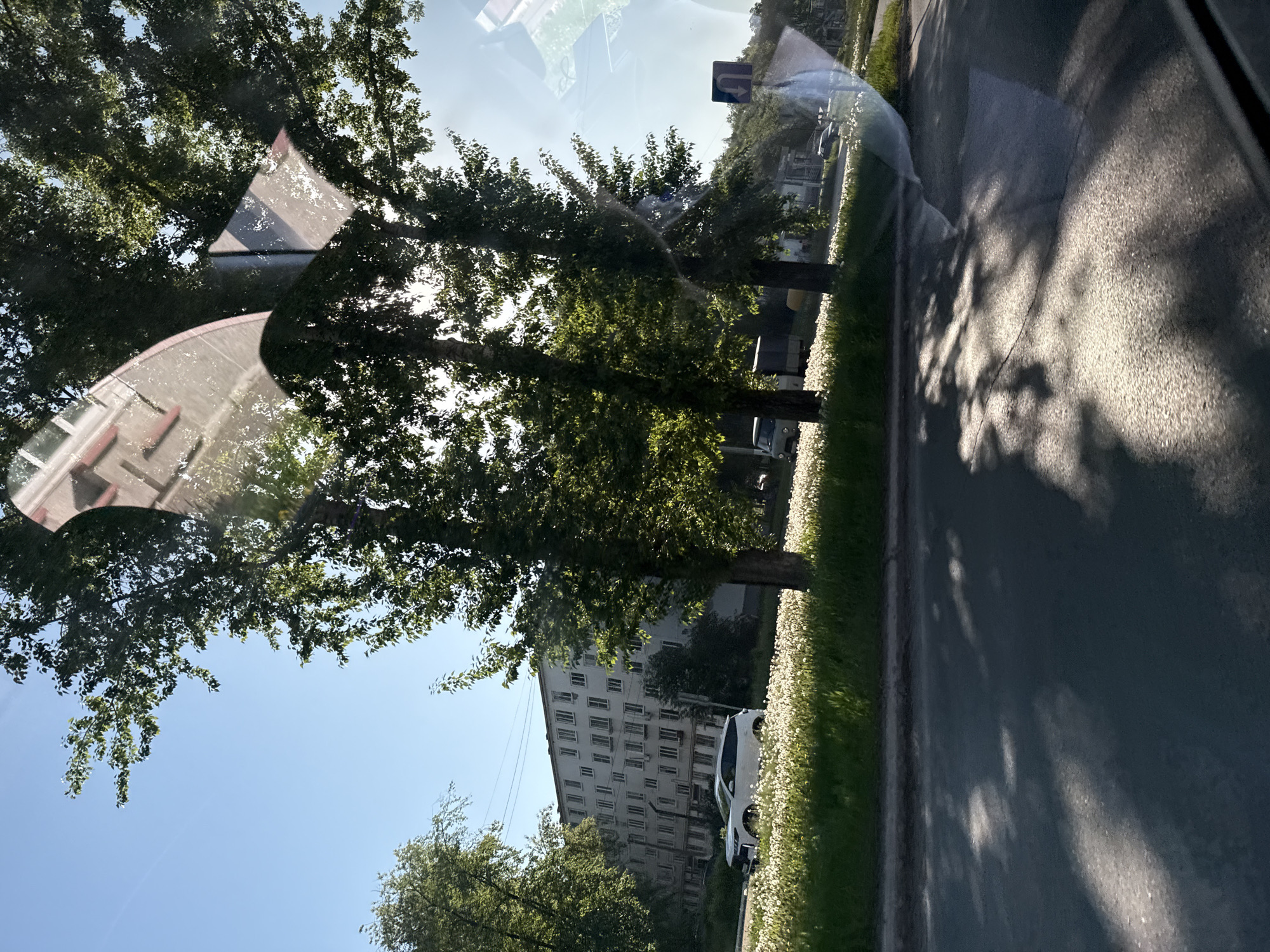 The image shows a street view in Chaikovsky, Russia, taken from inside a vehicle. The reflection of a building with a rounded roof and triangular spire is visible on the windshield. Trees line the roadside, casting shadows on the asphalt. A tall, multi-story apartment building is visible in the background, with a white car parked nearby. A narrow strip of grass and white wildflowers separates the road from the sidewalk. A road sign with a blue U-turn arrow is visible further down the road.