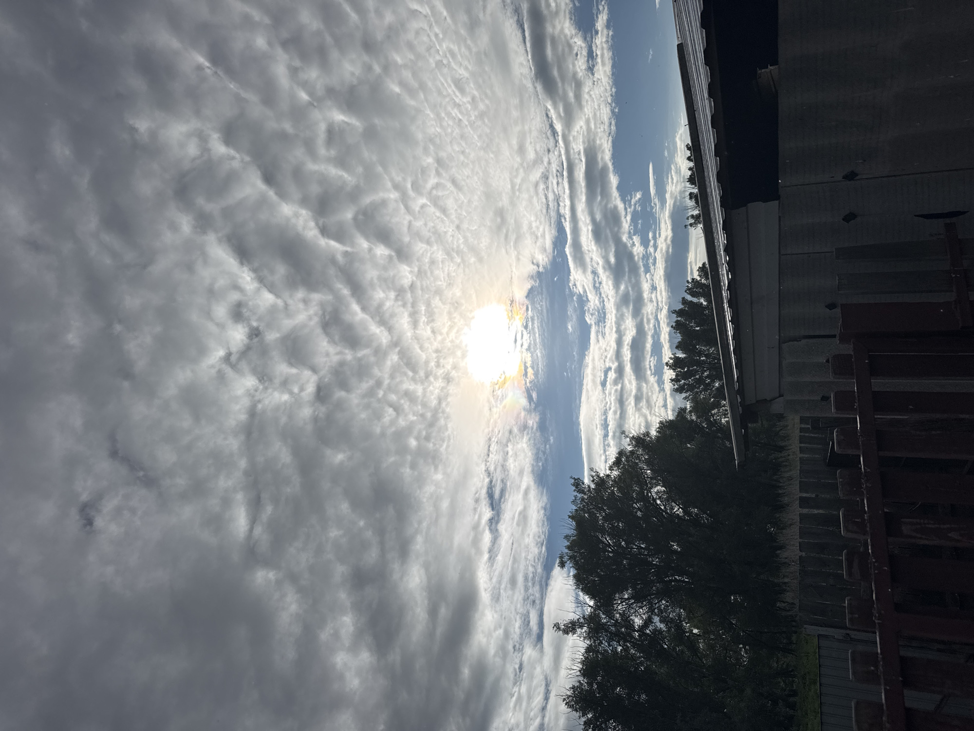 The image depicts a cloudy sky with the sun partially obscured, creating a bright halo and a faint rainbow effect. Below the sky, a dark silhouette of trees can be seen, followed by a wooden fence and the corrugated metal roof of a structure. The scene appears to be an outdoor setting, likely a backyard, with no people or active events visible. The overall atmosphere is overcast and slightly subdued due to the cloudy conditions.