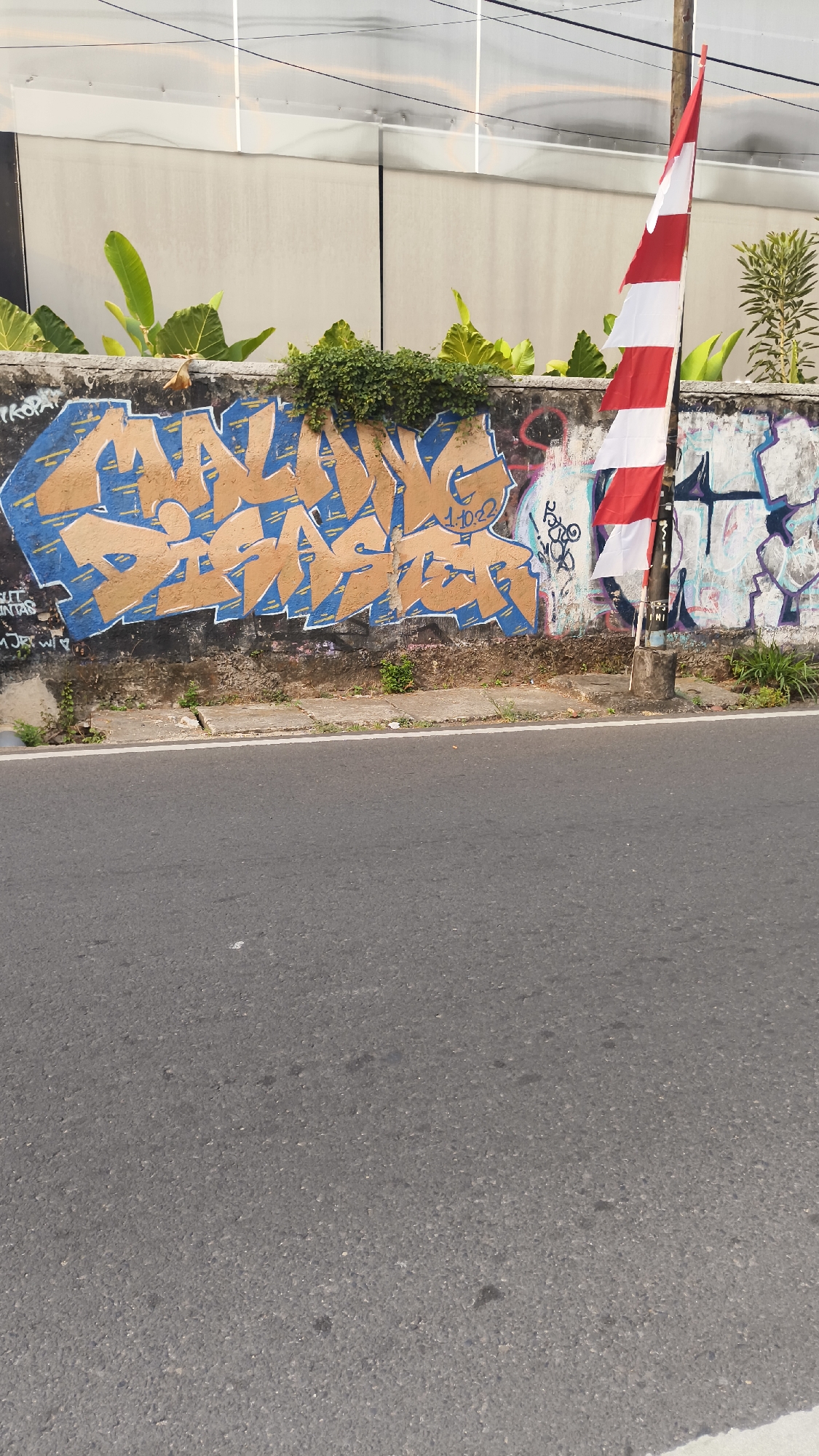 This image depicts a section of a wall adorned with graffiti on a street in South Jakarta, Indonesia. The graffiti features bold, stylized lettering in shades of orange and blue, with some portions appearing worn. To the right of the graffiti, a flagpole stands tall, flying a red and white flag, likely the Indonesian flag. The wall itself is a concrete structure, showing signs of age and weathering. Behind the wall, a modern building with a translucent roof is visible, suggesting a blend of old and new architectural styles in the urban landscape. The foreground is dominated by a gray asphalt road, indicating its location along a public thoroughfare. Lush green foliage, including large-leafed plants and dense vines, grows atop the wall and near its base, adding a touch of nature to the urban scene. The overall impression is one of an outdoor environment, possibly a street or sidewalk area in South Jakarta, characterized by urban art, national symbols, and natural elements.