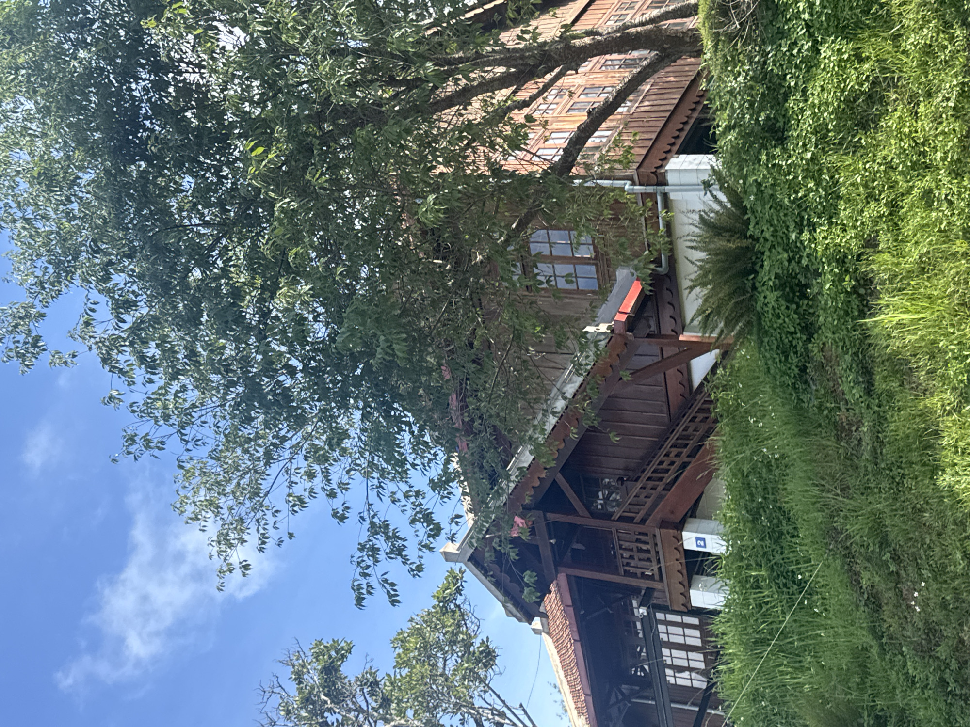 The image displays a wooden house with a multi-tiered structure, featuring a prominent gable roof with intricate trim. The facade is clad in vertical wooden planks and boasts several windows with multiple panes. A wooden staircase leads up to an elevated porch area. The house is situated on a grassy hillside under a clear blue sky with scattered white clouds. Lush green vegetation, including tall grass and bushes, covers the foreground and surrounds the property. A tree with dense green foliage partially obscures the right side of the house. The overall scene evokes a sense of a rural or semi-rural setting. This house is located in Da Lat, Vietnam.