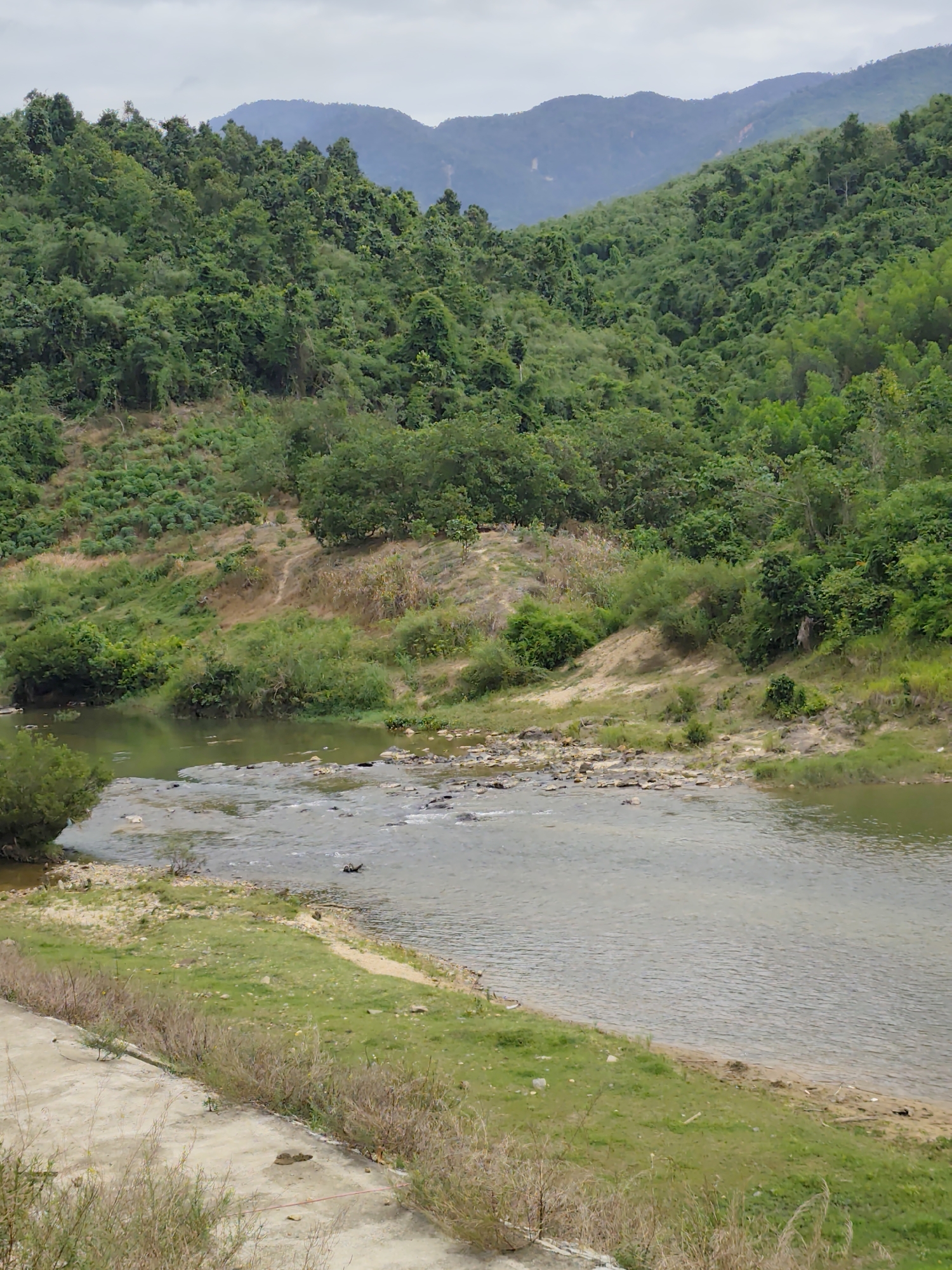 A vertical, eye-level shot depicts a wide river flowing through a lush, green valley. The river's surface is mostly calm with ripples, and a section of rocky rapids is visible in the mid-ground. The riverbanks are lined with green grass and sparse vegetation. Steep, tree-covered hills rise in the background, with the peaks fading into a hazy sky. A concrete path or embankment runs along the lower-left edge of the frame, bordered by dry grasses. The scene is serene and natural, suggesting a remote or undeveloped area.