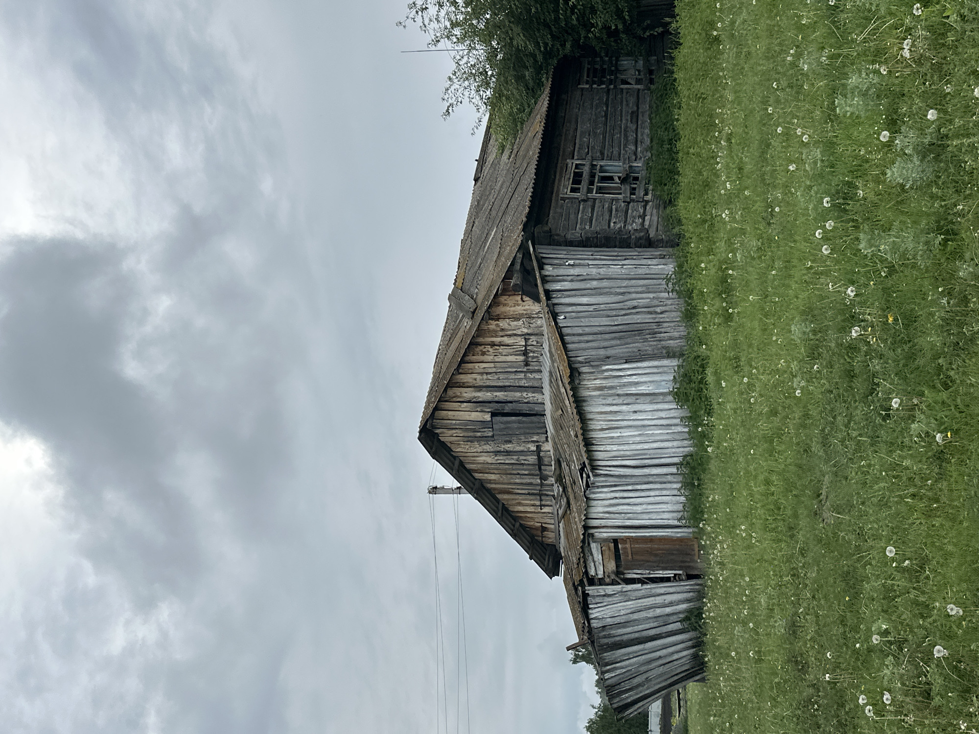 A dilapidated, wooden house stands in a grassy field under a cloudy sky. The house appears to be old and neglected, with weathered wood and a sagging roof. The walls are constructed of rough-hewn logs, and some of the wooden planks on the side are warped and leaning. A lean-to structure with vertical wooden slats is attached to the front of the house. The roof is covered in corrugated material, which is also showing signs of age and damage. A single window with broken panes is visible on the side of the main structure. Green grass, dotted with white dandelion seed heads, covers the ground around the house. Trees and foliage can be seen behind the house on the right side. Power lines stretch across the sky in the background. The overall impression is one of rural decay and abandonment.