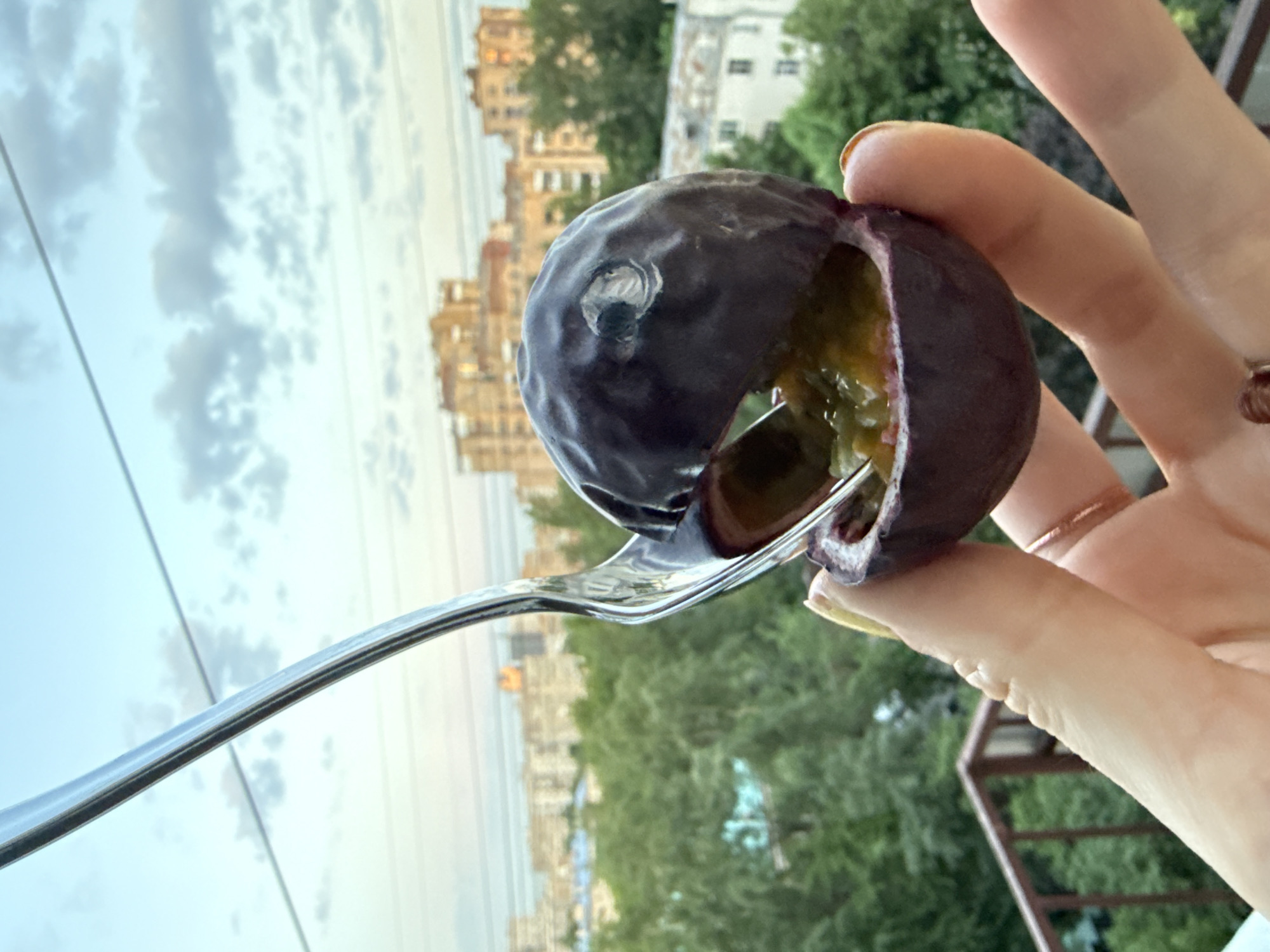 A person is holding a dark purple fig with a fork, with the Moscow skyline in the background. The fig has been cut open, revealing its yellow-orange pulp and black seeds. A silver fork pierces into the fig, extracting pulp from inside. The background consists of a building in Moscow, Russia. The sky is cloudy. The person's hand is visible, with painted fingernails.