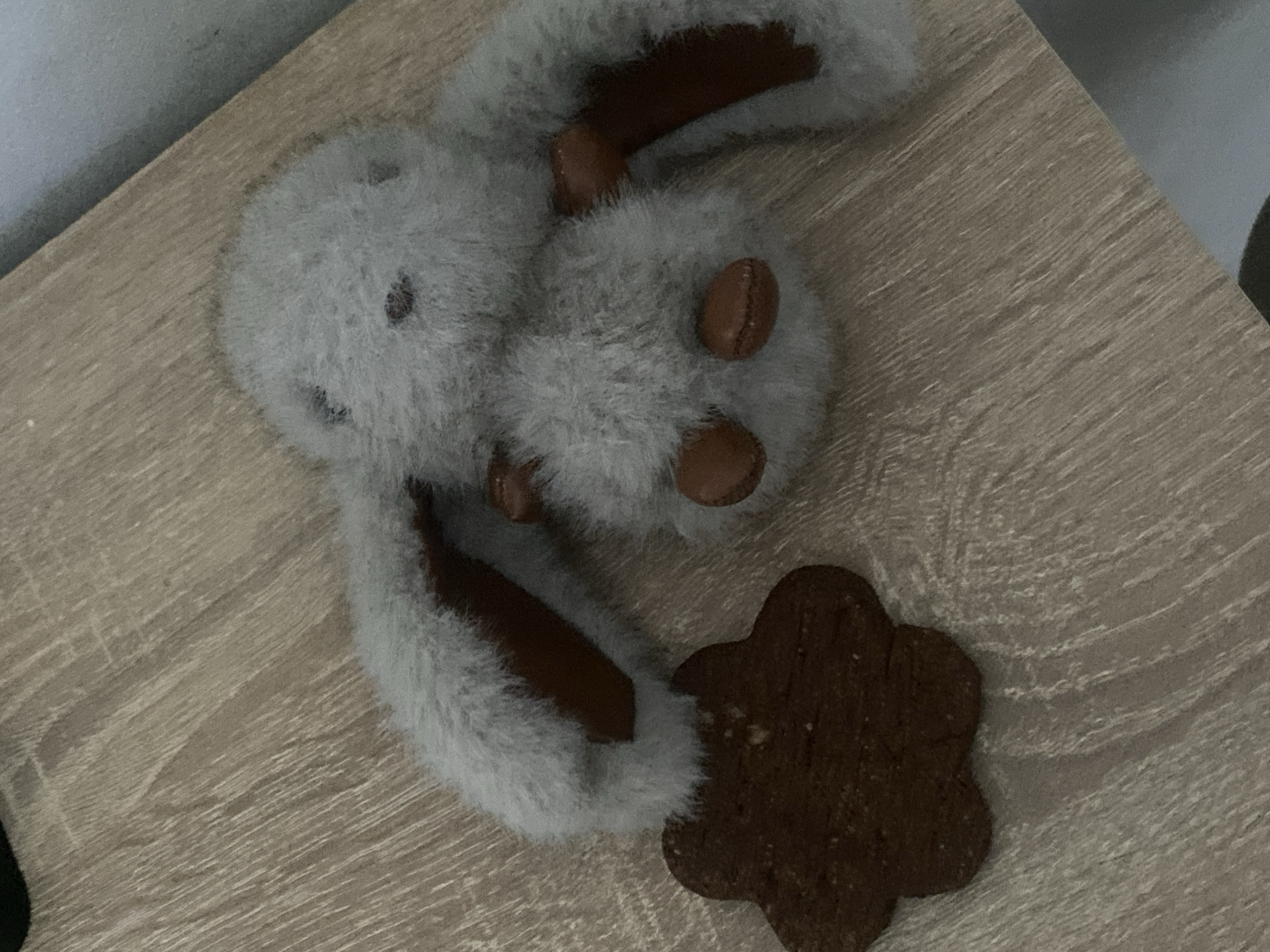 A light gray, fluffy stuffed rabbit toy lies on its back on a light brown, wood-grain surface, next to a dark brown, five-pointed star-shaped cookie. The rabbit's ears, insides of its ears, and paws are made of brown material. Its eyes and nose are dark. The cookie is flat and appears to be made of gingerbread or a similar baked good, with a slightly textured surface. The overall lighting is dim. This image was captured indoors, possibly on a table or shelf, and there is no indication of its specific location within the city of Rybnitsa, Moldova.