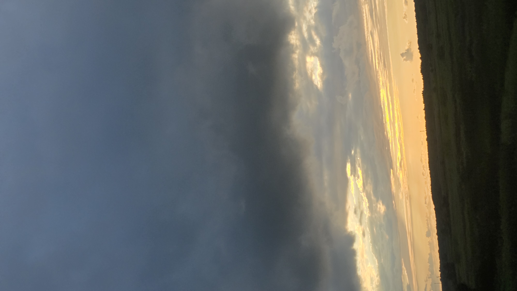 The image depicts a wide, panoramic view of a landscape under a dramatic sky. The sky is dominated by dark, heavy clouds in the upper portion, transitioning to lighter, scattered clouds with visible streaks of golden sunlight breaking through towards the horizon. Below the sky, a dark silhouette of a treeline runs across the middle ground, marking the edge of a rolling, green field or pasture in the foreground. The field is dense with vegetation and appears to be dark green, suggesting it is either evening or overcast. The overall impression is of a natural, open landscape, likely rural, with a sense of approaching dusk or a stormy weather pattern. There are no people, animals, or man-made structures clearly visible in the foreground or middle ground, though faint, vertical elements that might be distant poles or towers can be discerned along the treeline. The location is identified as the Municipality of სუფსის თემი, Georgia.