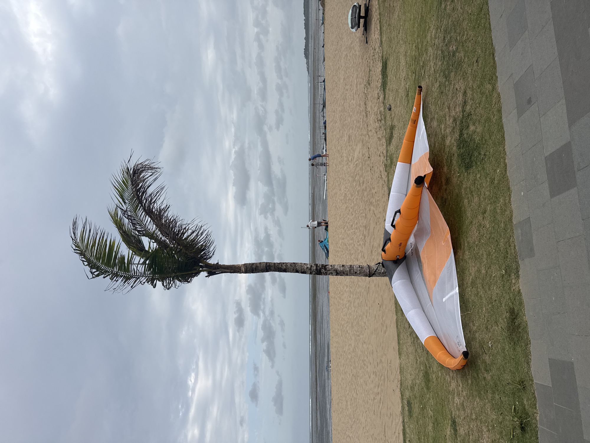 In Denpasar, Indonesia, on a cloudy day at Seminyak Beach, a palm tree stands on the grassy edge of the beach, with its fronds blowing in the wind. In the foreground, a wing foil sail is laid out on the grass. The sail is white with orange accents and appears to be made of fabric. The beach itself is composed of light brown sand, and the ocean is visible in the background. Several people are scattered along the beach and near the water. Some are standing, and others appear to be interacting with equipment that resembles surfboards or kiteboards. Further out in the ocean, there are a few small boats. To the right of the image, a rack with a surfboard is visible on the grass. A paved walkway lines the bottom of the image, indicating a developed area adjacent to the beach.