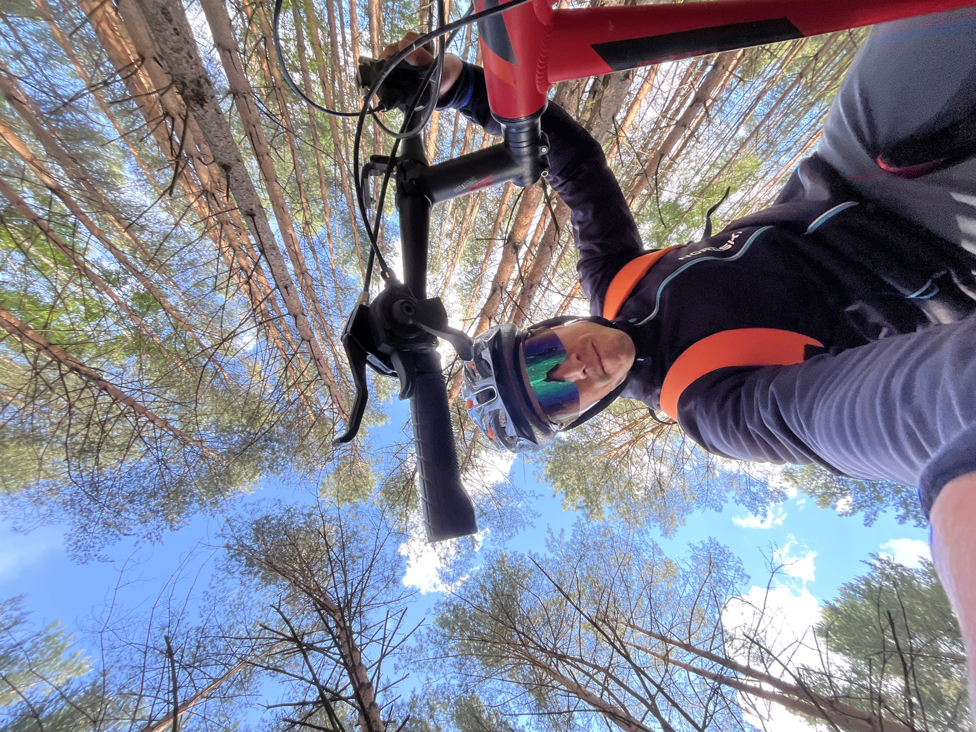 A low-angle perspective looks upwards from a bicycle, capturing a cyclist in a pine forest near Chaikovsky, Russia. The main subject, a person wearing a dark long-sleeved top with orange and light blue details (with "NORDSKI" visible on the chest), grey pants, a cycling helmet, and reflective sunglasses, is positioned in the foreground, holding the handlebars. Part of a red mountain bike frame is visible in the upper right.
The background is dominated by the tall, straight trunks and sparse green canopies of numerous pine trees, stretching skyward. A bright blue sky with scattered white clouds is visible through the tree canopy, indicating clear, sunny daytime weather. The light illuminates the scene, creating highlights on the tree bark and the cyclist's gear. The image portrays an active outdoor pursuit, likely mountain biking or recreational cycling, amidst a natural forest setting.