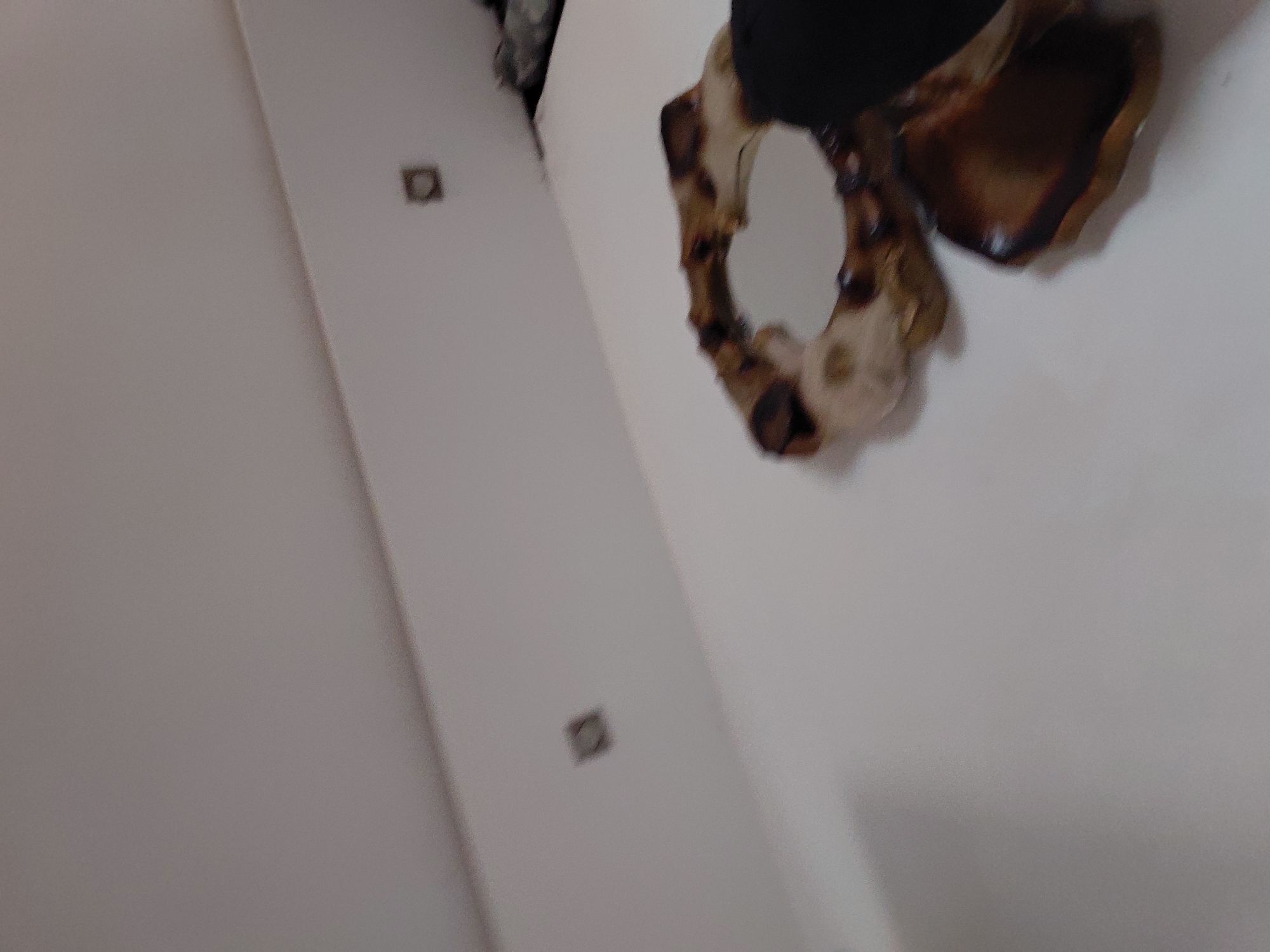 The blurry, tilted image captures an indoor scene, likely a room, with plain light-colored walls. No people are visible.
The primary subject is a decorative object, possibly a mirror or an ornamental carving, hanging on the wall in the upper right. It features an organic, somewhat gnarled frame, appearing to be made of wood or a material mimicking wood, with varying shades of brown and lighter beige accents. A dark, indistinct object is positioned above it.
On the left wall, two small, dark, square fixtures are embedded into the surface, resembling electrical outlets or small wall mounts.
No specific activity or event is taking place. The time of day is not discernible due to the indoor setting and even lighting. No emotions are conveyed, and no visible text is present. While the location context is given as Santa Ana, Venezuela, there are no visual cues within the image to confirm this. The overall image quality is soft and out of focus.