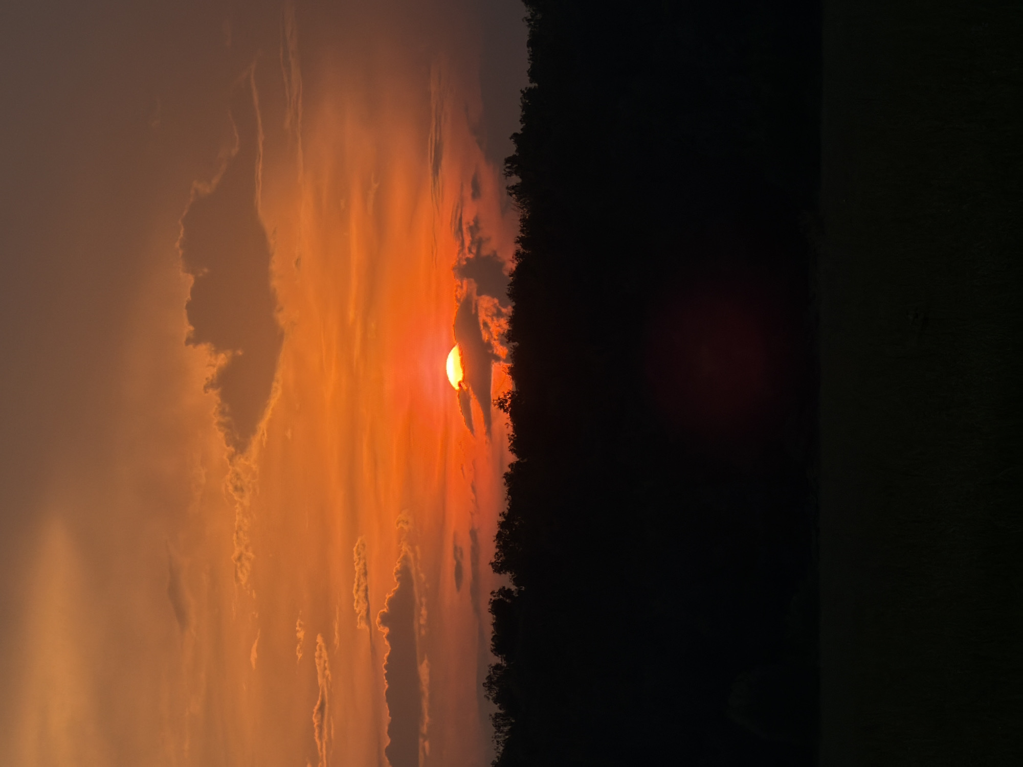 The image shows a dramatic sunset over a dark silhouette of trees. The sky is a vibrant gradient of orange and red, with scattered clouds. The sun, a bright orb, is partially obscured by a cloud, casting a warm glow across the scene. Below the treeline, the landscape transitions to a very dark, possibly grassy field, with only faint hints of texture. The overall impression is one of a peaceful, natural setting at dusk. The location is identified as Moscow, Russia, although specific landmarks or urban elements are not visible in this natural landscape.