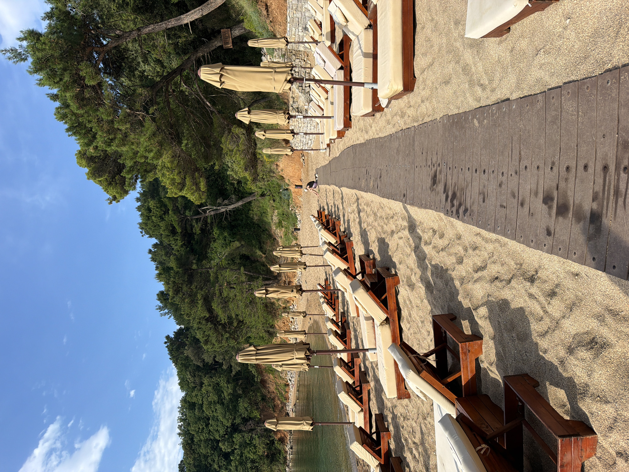 The image shows a beach scene in Budva, Montenegro, oriented with the land and sky running vertically. A row of closed beige umbrellas and light brown wooden lounge chairs lines the sandy beach, with a wooden walkway extending through the middle. To the left, a green forest meets the coastline, while the blue sky with scattered clouds is visible above the trees. The Adriatic Sea can be seen between the umbrellas. A person is walking on the beach.