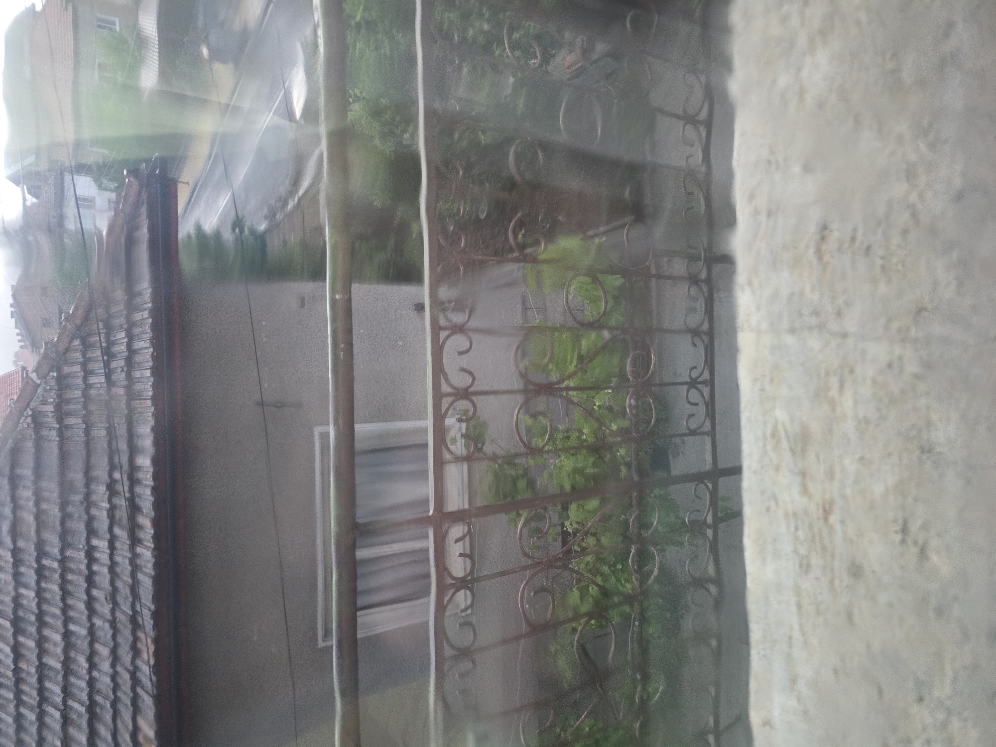 This image, taken from an elevated perspective such as a window or balcony, presents a view overlooking a residential area in what appears to be Yakoruda, Bulgaria. The original image is rotated 90 degrees clockwise; when oriented correctly, it depicts a scene looking down and across.
In the foreground, a dark, ornate metal railing with scrolled patterns runs vertically along the right side, suggesting a balcony or a security grate. To its immediate right, a light-colored, textured wall is visible, indicating the building from which the photograph was taken.
Beyond the railing, a lush green expanse of trees or bushes occupies the midground. Below this foliage, a grey, paved surface, possibly a street or pathway, is discernible and appears wet, reflecting light. On the left side of the frame, a distinct tiled roof, composed of dark grey or brown rectangular tiles, is prominent, belonging to a house or another structure. Further back and to the left, parts of other buildings with visible windows can be seen.
The scene is characterized by a soft, diffused light, suggesting an overcast day or the aftermath of rain. The general haziness and visible reflections on the ground strongly indicate wet conditions, possibly from recent rainfall or light drizzle. No people are visible, and no specific activities are taking place. There is no visible text in the image. The architectural styles and natural elements are consistent with a town setting.