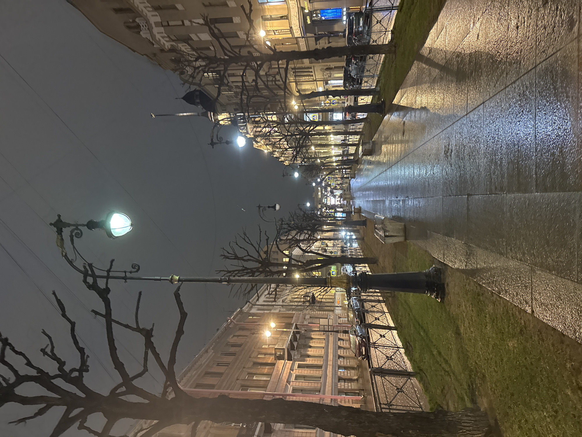A nighttime view of a street in Saint Petersburg, Russia. The perspective is from the sidewalk looking down the street, with rows of bare trees lining both sides. The street and sidewalks are wet, reflecting the lights from street lamps and buildings. The streetlights are ornate, with green-tinted globes. Buildings with lit windows line both sides of the street. There are cars parked along the right side of the street. The sky is overcast and dark.