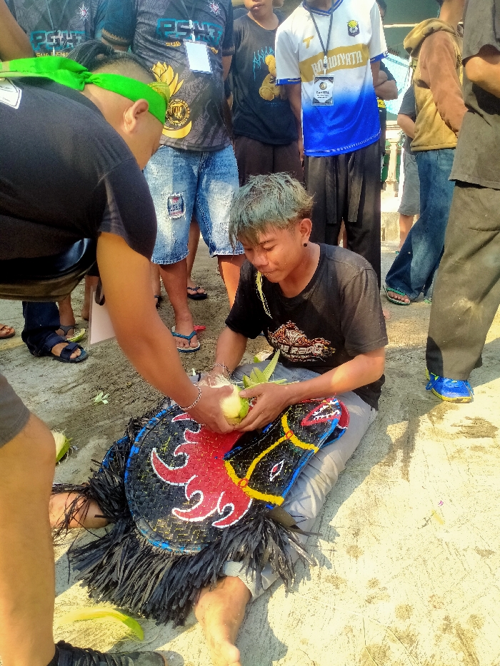 The image depicts an outdoor scene in Sepat, Indonesia, under daylight conditions, with multiple individuals gathered on a light-colored, dry ground surface. In the foreground, a young male, appearing to be in his late teens or early twenties, with green-dyed hair, is seated barefoot on the ground, wearing a black t-shirt and light gray pants. He is engaged in preparing a young coconut, holding it with both hands, and has yellow fibrous material partially protruding from his mouth. Adjacent to him, an adult male, partially obscured, is kneeling or squatting, wearing a black t-shirt and a green headband, appearing to assist or interact with the seated male regarding the coconut preparation.
Positioned on the ground directly in front of the seated male is a large, elaborate, shield-like object or prop, predominantly black with a stylized red and white rooster or bird-like head motif and yellow accents. This object features a black fringed lower edge, suggesting it is made from woven material. Scattered green husks or leaves are visible on the ground around the central figures. In the background, several other individuals are standing, observing the scene. Some observers wear t-shirts with visible logos and lanyards with ID badges, indicating an organized event. A light-colored structure is partially visible in the distant background.