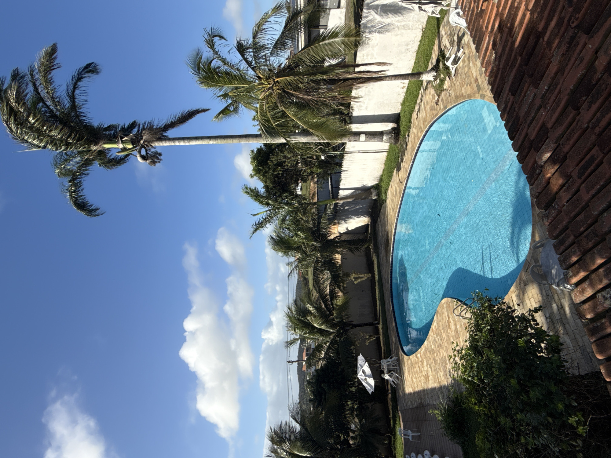 This is a high-angle, eye-level, full shot of a resort-style swimming pool area on a clear, sunny day. The pool is a vibrant turquoise blue and has a kidney shape. It is surrounded by a light brown tiled deck. Several palm trees, some quite tall, are scattered around the property, casting shadows on the pool and deck. In the background, a white stucco wall with a few trees and buildings is visible. Some white lounge chairs and umbrellas are placed around the pool area, and a table with chairs is under an umbrella to the left. The foreground is dominated by the red-tiled roof of a building. The sky is a bright blue with scattered white clouds. The overall scene suggests a tropical vacation destination, likely in a warm climate.