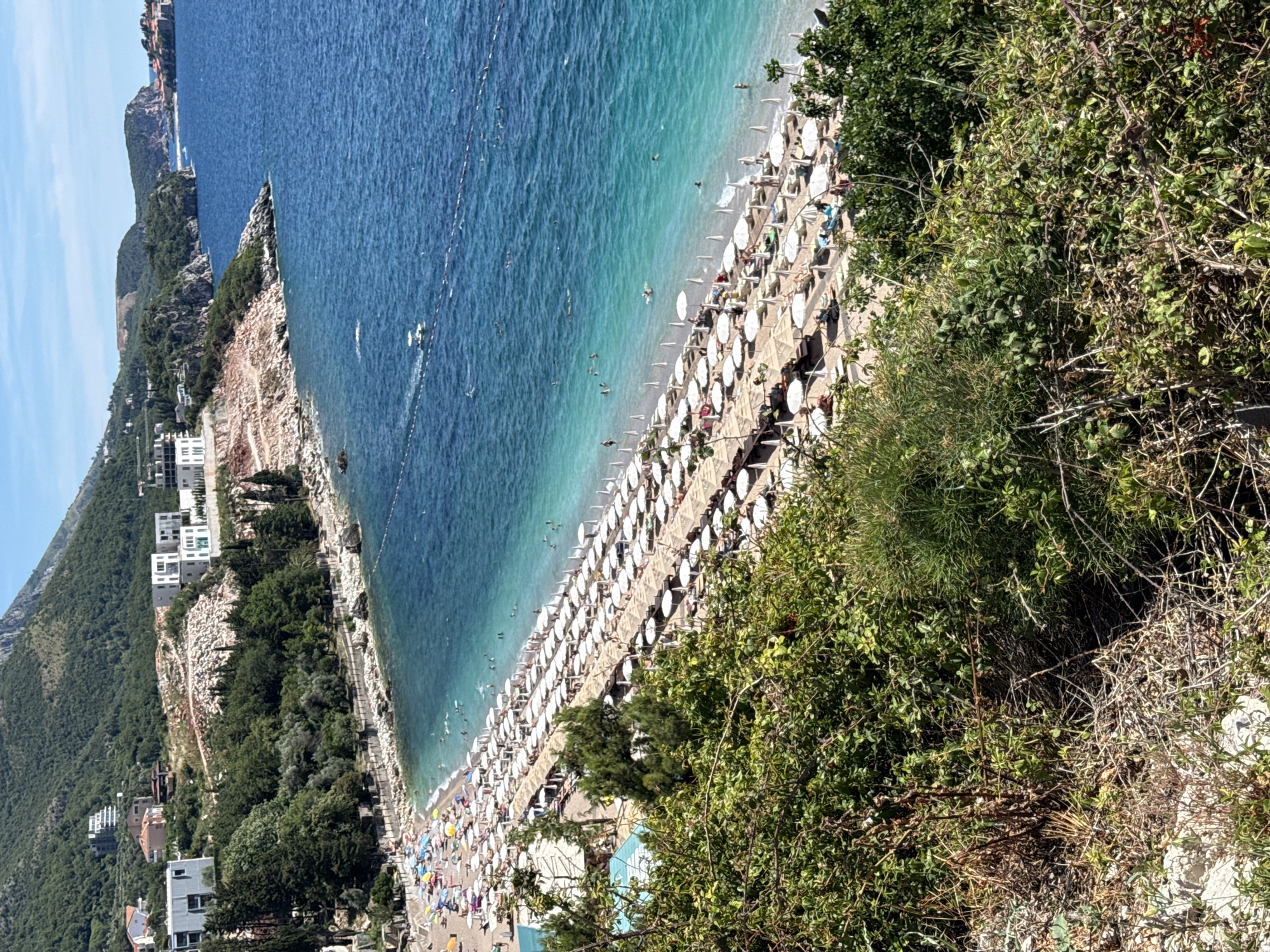 The image depicts a bustling beach scene in Kamenovo, Montenegro, from a high vantage point. A densely populated stretch of sandy beach is covered with numerous white umbrellas and lounge chairs, indicating a warm, sunny day. People are visible scattered among the chairs, some sunbathing and others walking. The turquoise water of the Adriatic Sea is clear and inviting, with several individuals swimming and enjoying the water. A boat can be seen in the distance on the sea. The background features a verdant, hilly landscape with trees and modern white buildings nestled on the slopes. Rocky outcrops and cliffs characterize the coastline. In the foreground, lush green foliage and thorny branches create a natural frame for the beach and sea below. The overall impression is one of a popular tourist destination enjoying pleasant weather.