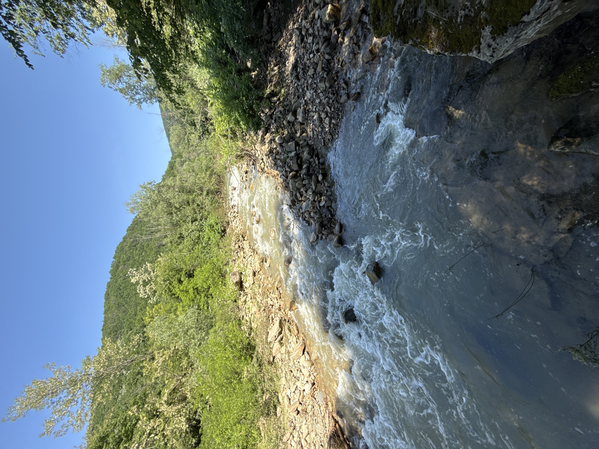 The image depicts a river flowing through a rocky riverbed, framed by lush vegetation on either side, with a clear blue sky above. The water is turbulent in sections, with white foam marking its passage over rocks. The location is inferred to be near Stara Rechka, Bulgaria based on the prompt instructions. The riverbank is covered with varied sized rocks, with green foliage extending up towards the sky. The scene conveys a natural, outdoor environment with no indications of any human presence or activity.