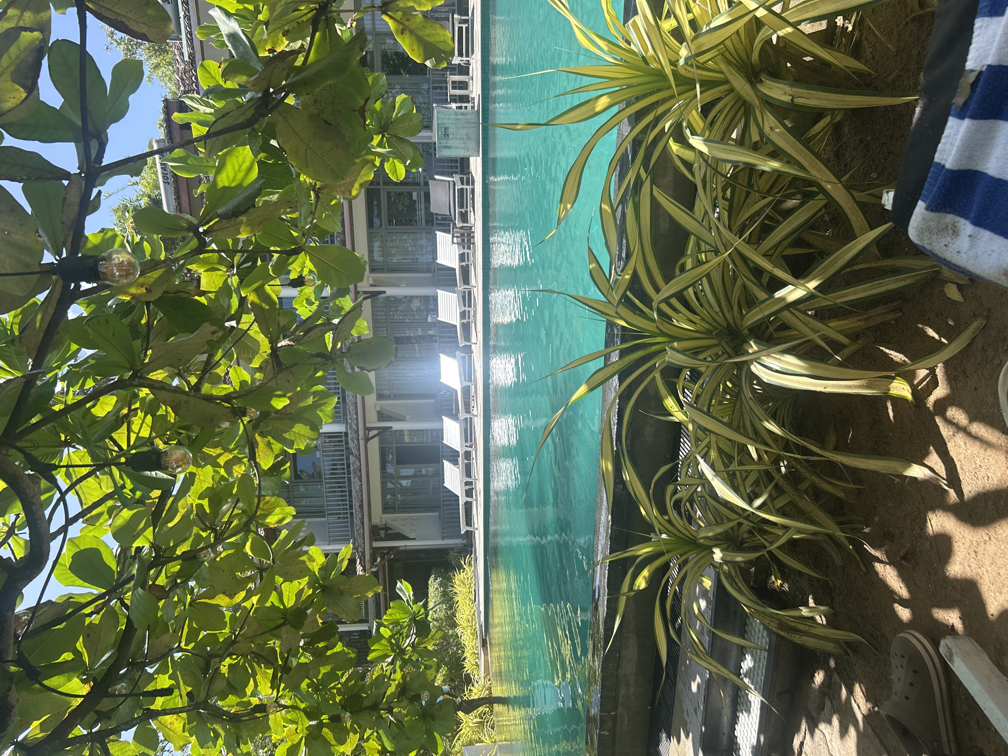 The image captures a tranquil scene at a resort or hotel in Mirissa, Sri Lanka, focused on an inviting swimming pool. Lush green foliage, part of a tree, drapes across the top of the frame, casting dappled sunlight and framing the view. String lights are visible, hanging from the branches.
The swimming pool itself is a prominent feature, its turquoise water shimmering under the bright sun. Several white lounge chairs are arranged along the pool deck, suggesting a place for relaxation. Beyond the pool, a multi-story building with balconies and large windows is visible, hinting at guest accommodations.
In the foreground, several plants with long, striped green and yellow leaves add a tropical touch to the scene. The ground beneath them appears to be sand, with shadows from the leaves and overhead branches creating an interesting pattern. A pair of beige slip-on shoes and a striped beach towel are casually placed on the ground, indicating someone is nearby, enjoying the poolside ambiance. The overall impression is one of a peaceful, sun-drenched vacation spot in Mirissa.