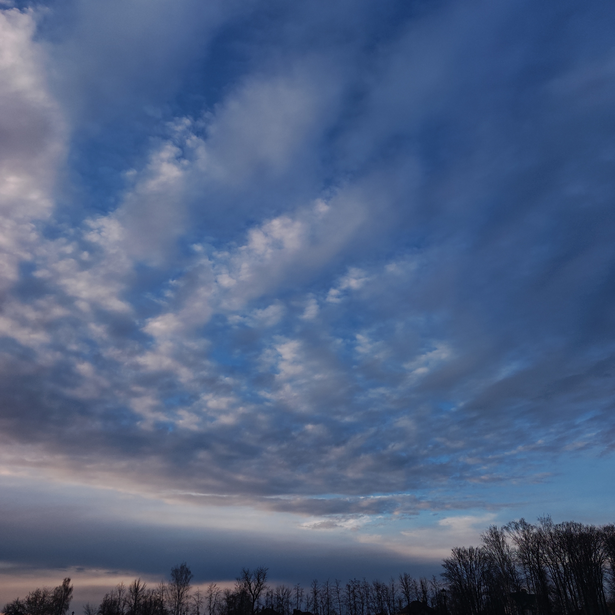 The image depicts a sky with varied cloud formations and colors, transitioning from a lighter blue at the top to darker, more ominous tones near the horizon. A row of bare trees is visible at the bottom of the frame, silhouetted against the sky. The location is Unknown, Unknown.