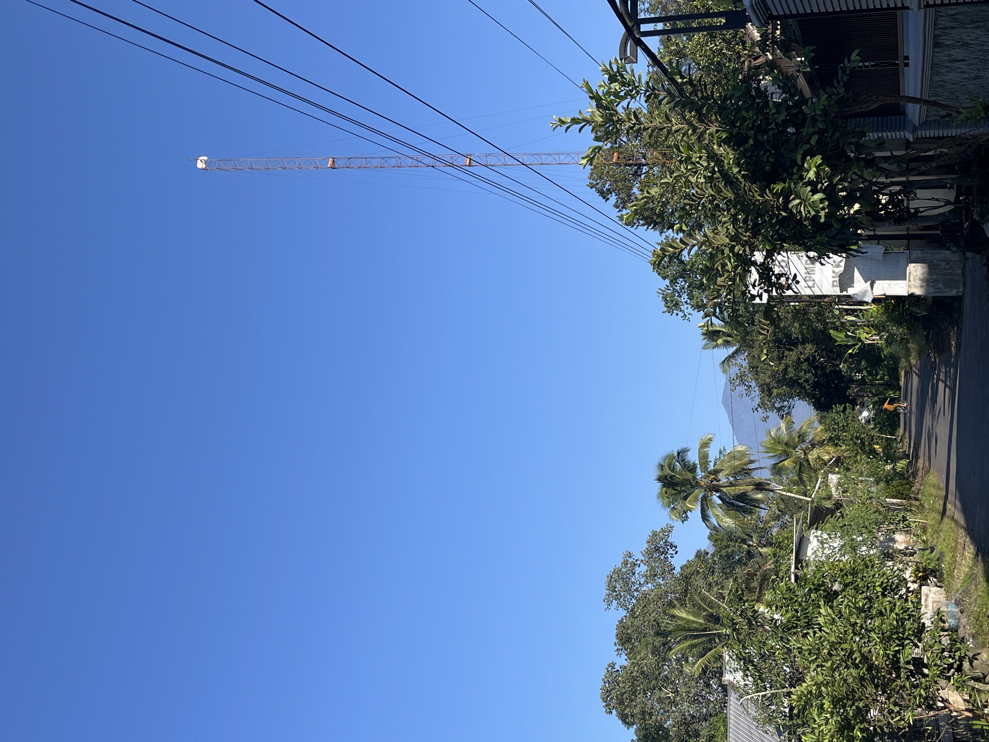 The image depicts a bright, clear day in an unspecified semi-rural or suburban area within Unknown, Unknown. The upper two-thirds of the frame are dominated by a pristine, vibrant blue sky, devoid of clouds. A prominent, slender, reddish-brown lattice communications tower stands on the right side, extending from the mid-ground into the sky, topped with a distinct white, somewhat spherical structure. Several taut, dark power lines or communication cables diagonally traverse the upper-right quadrant, running towards the tower.
A narrow, dark asphalt road, appearing slightly uneven, curves gently from the lower center towards the mid-left, leading into the distance. It is flanked by lush, dense vegetation. On the left, various large trees with dark green canopies and several tall palm trees are visible, partially obscuring white or light-colored buildings with gray roofs. On the right, closer to the foreground, a gray and white decorative wall is partially visible, along with a vertical white sign structure, partially obscured by foliage, that displays discernible text including "LPMD" and "PKK". Numerous smaller green trees and shrubs line both sides of the road.
In the mid-ground, on the road, a lone individual is riding a bicycle, facing away from the viewer. The person is wearing an orange or yellow top and dark lower garments. In the far background, faint blue silhouettes of mountains or hills rise above the treeline. The scene is illuminated by strong natural daylight, suggesting either morning or late afternoon, with soft shadows indicating a side lighting source.