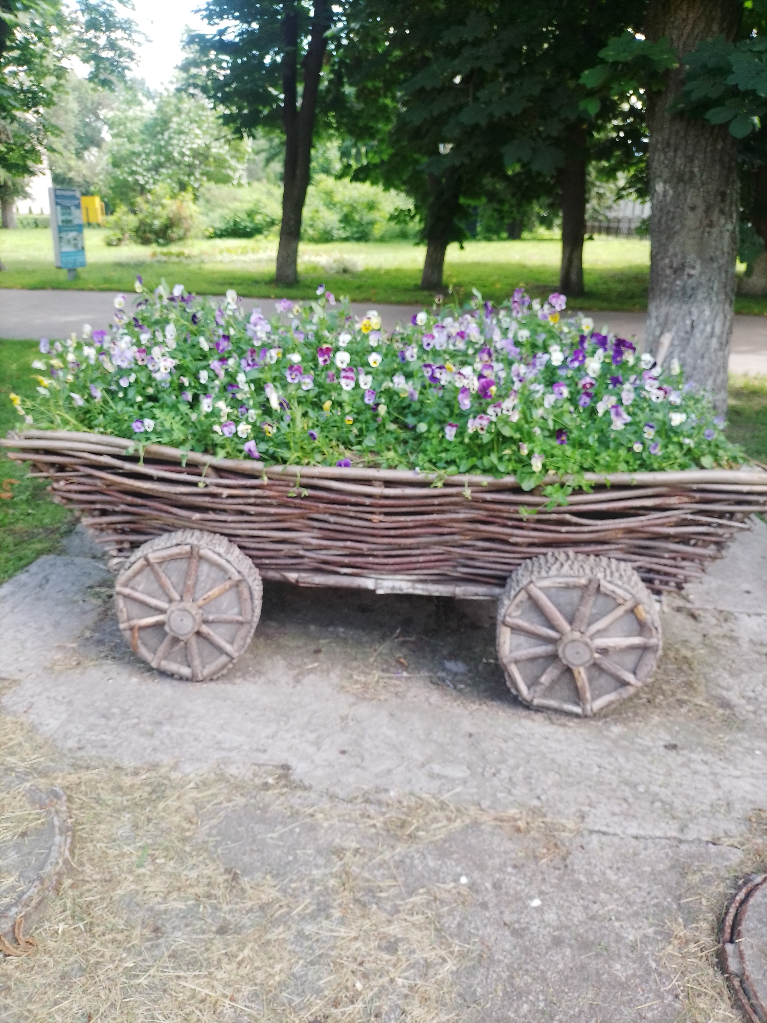 An outdoor, eye-level, medium shot captures a rustic wooden wagon filled with an abundance of colorful flowers, predominantly white and purple pansies, situated on a concrete pathway. The wagon is constructed from interwoven branches, with two wooden spoked wheels on either side. The background reveals a park-like setting with lush green trees and foliage, suggesting a public space in the city of Myrhorod, Ukraine. The lighting indicates it is daytime, likely under overcast skies given the soft illumination. The scene is devoid of human presence, focusing entirely on the decorative wagon and its floral contents.