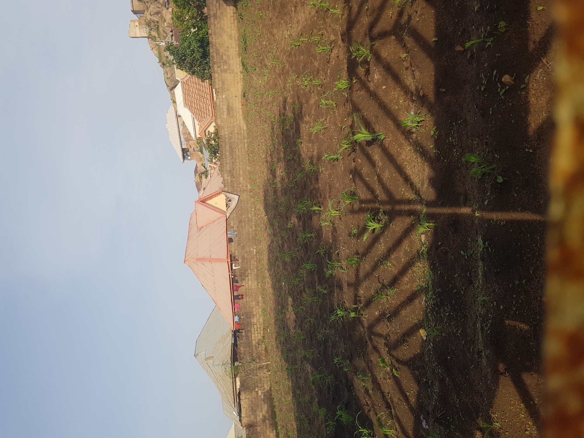 In the foreground of the image, a field of young crops, possibly maize, is neatly planted in rows on a sloped terrain. The soil is dark brown and appears moist. A prominent shadow of what looks like a fence or trellis is cast diagonally across the field, creating a patterned effect. In the midground, a rough brick wall runs horizontally, separating the field from a residential area. Behind the wall, several houses with various roof types, including corrugated metal and tiled roofs, are visible. Some houses are built on the side of a rocky hill. Clothes are seen hanging on a line in front of one of the houses. The background shows a clear, pale blue sky. In the upper right portion of the image, on the rocky hill, there is a stone structure that resembles an old fortification or tower. The overall scene depicts a rural or semi-rural setting within the city of Jos, Nigeria, characterized by agriculture, housing, and natural rocky topography.