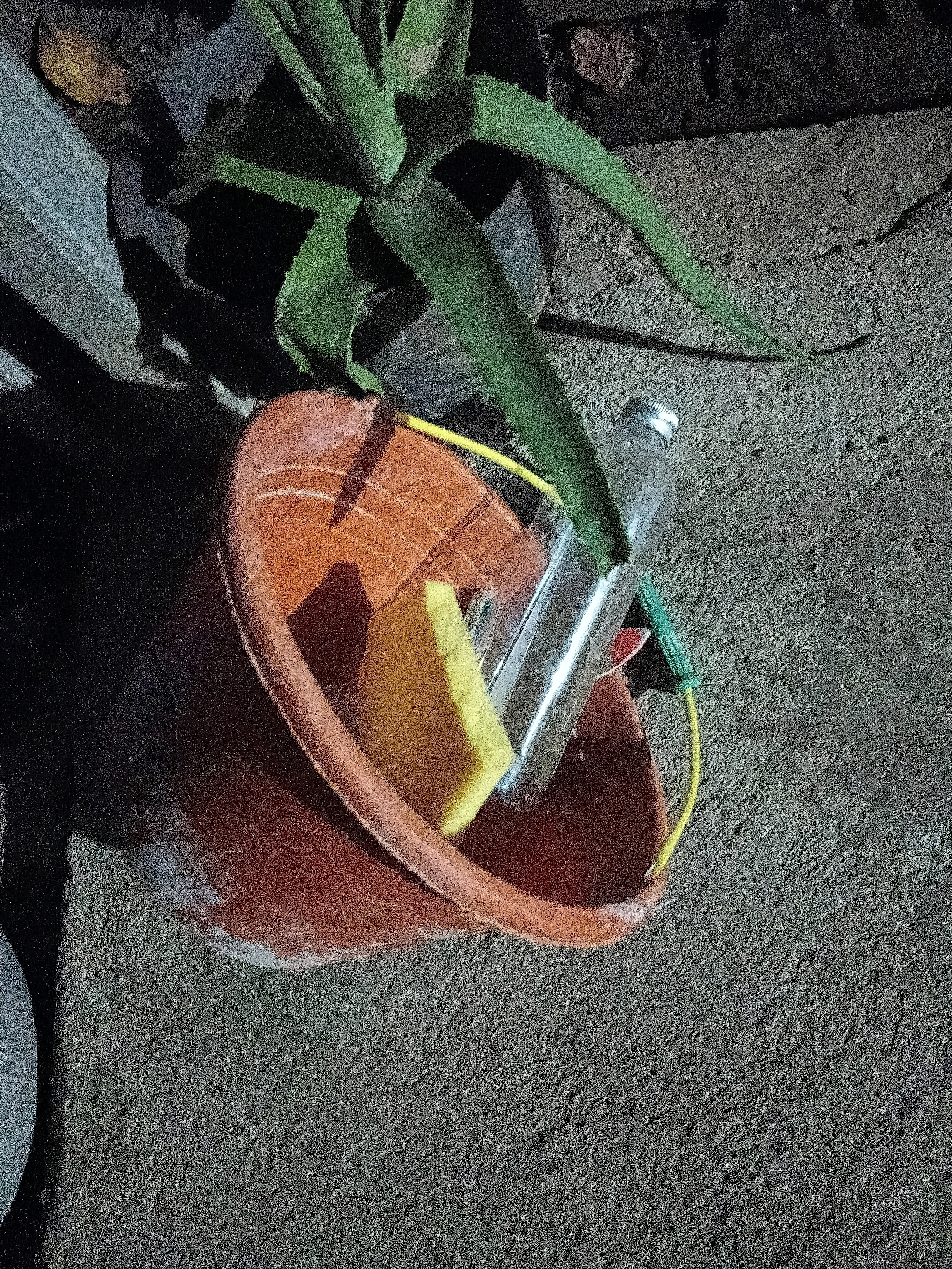 The image shows an outdoor scene at night, possibly in Cikal, Indonesia. The foreground is a rough, textured concrete surface. In the center of the frame is an overturned orange bucket. Inside the bucket, a yellow sponge and a clear glass bottle are visible. A plant, possibly an aloe vera, with green, spiky leaves is positioned above and behind the bucket, casting a shadow. A thin yellow cord is attached to the bottle and wraps around the bucket's rim. The lighting suggests artificial light sources, creating distinct shadows. The overall environment appears to be an outdoor area, perhaps a backyard or alleyway.