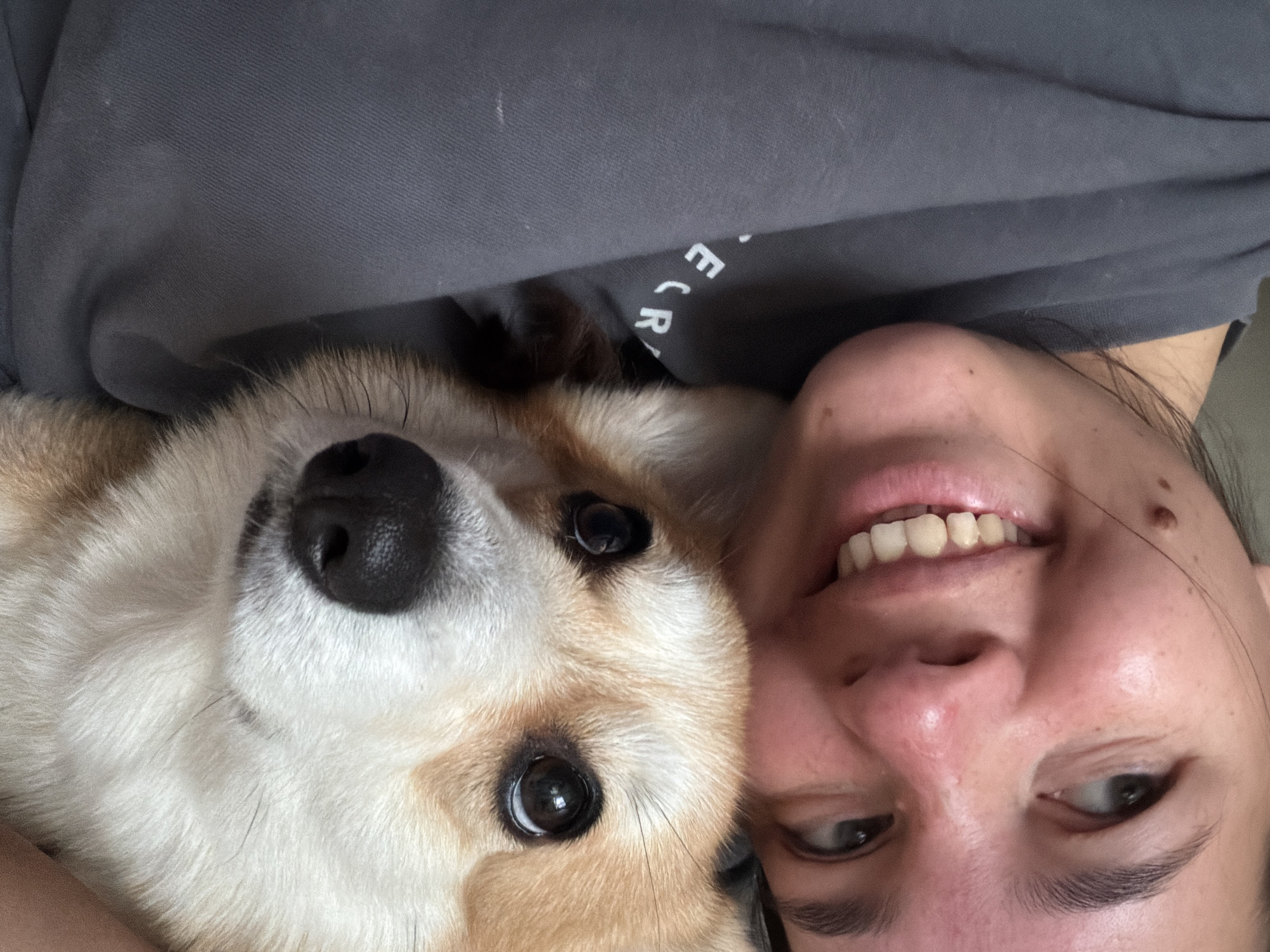 In this close-up, low-angle selfie, a person and their corgi dog are nestled together, their faces filling the frame. The person, positioned at the top, smiles broadly, revealing their teeth. Their gaze is directed upward and slightly to the right. Their skin appears flushed, and there are a few small blemishes visible. The corgi, occupying the lower portion of the image, looks directly at the camera with a slightly worried or curious expression. Its tan and white fur is clearly visible around its muzzle and eyes. The image is shot indoors, likely in a home, with a plain, dark gray garment partially visible in the background, possibly a sweatshirt, with faint white text that is partially obscured. The lighting suggests a natural light source from above. There are no specific landmarks or indicators that would suggest a location in Chaikovsky, Russia.