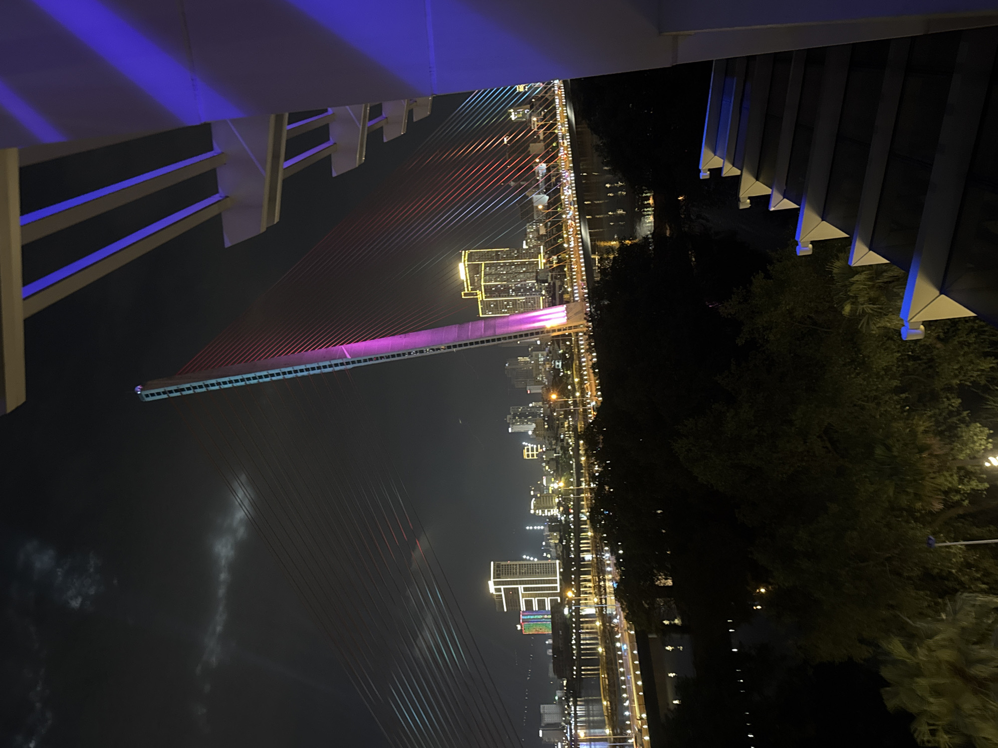 This nighttime photograph captures a vibrant urban scene in Đà Nẵng, Vietnam, viewed from an elevated perspective. The primary subject is a magnificently illuminated cable-stayed bridge, which spans across a body of water, likely the Han River. Its numerous support cables are dramatically lit with a spectrum of colors including reds, pinks, blues, and greens, creating a dynamic and striking visual. The bridge's main structure is also adorned with bright lights, highlighting its architectural form against the dark sky.
Beyond the bridge, a sprawling city skyline is visible, characterized by numerous buildings twinkling with countless artificial lights. The reflections of these urban illuminations are clearly visible on the calm surface of the water below, adding depth and shimmer to the scene. On the far bank, the outlines of several tall, brightly lit structures stand out.
In the immediate foreground, a part of an overhead structure or viewing platform is visible, casting a distinct purple-blue glow on its supports, suggesting the photo was taken from an illuminated vantage point. To the right of the frame, dark silhouettes of trees and dense foliage line the water's edge, contrasting with the bright city lights. The night sky is dark, with subtle hints of cloud formations. No people or visible text are discernible. The image conveys the lively and modern atmosphere of the city at night.