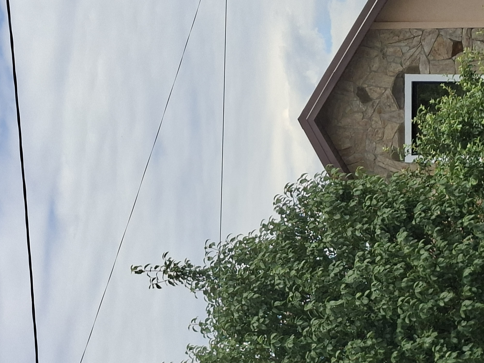 A portion of a house's stone-clad gable end is visible in the upper right quadrant, with a dark brown roofline and a white-framed window. A large, lush green tree occupies the left half of the image, its branches reaching towards the sky. Two dark electrical wires stretch horizontally across the frame, the upper one higher than the lower one. The sky is overcast with a mix of gray clouds and patches of lighter sky. The scene appears to be outdoors, in a suburban or rural setting, with no people or vehicles immediately apparent.