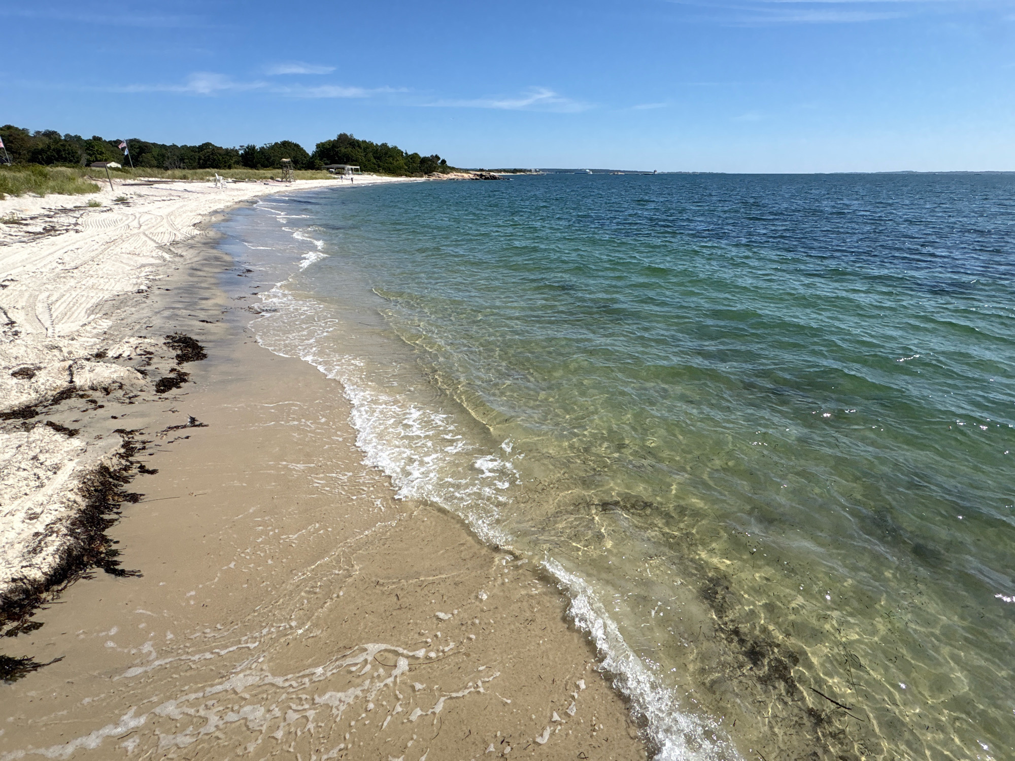 A wide-angle, eye-level, outdoor, daylight, horizontal, full shot depicts a sandy beach and a calm, clear, blue-green ocean under a bright blue sky with scattered wisps of clouds. The sand on the left side of the frame shows tire tracks and some dark seaweed washed ashore. The water, which is shallow and transparent near the shore, reveals the sandy bottom. Further out, the water deepens to a richer blue. The coastline extends into the distance on the left, lined with green trees and vegetation. A few distant boats are visible on the horizon. The scene is tranquil and appears to be a public beach.