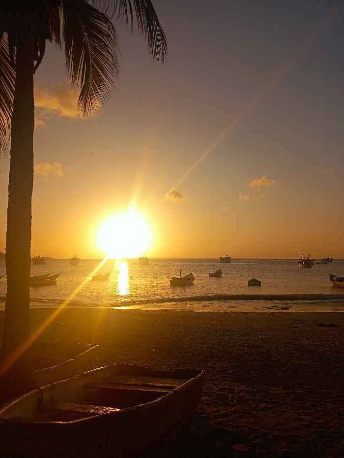 A tranquil beach scene unfolds under a vibrant sunset. A tall palm tree stands silhouetted to the left. Several small boats dot the calm water, reflecting the sun's golden light. Two empty rowboats rest on the dark sand in the foreground. A brilliant sun illuminates the sky, creating a warm, hazy atmosphere.