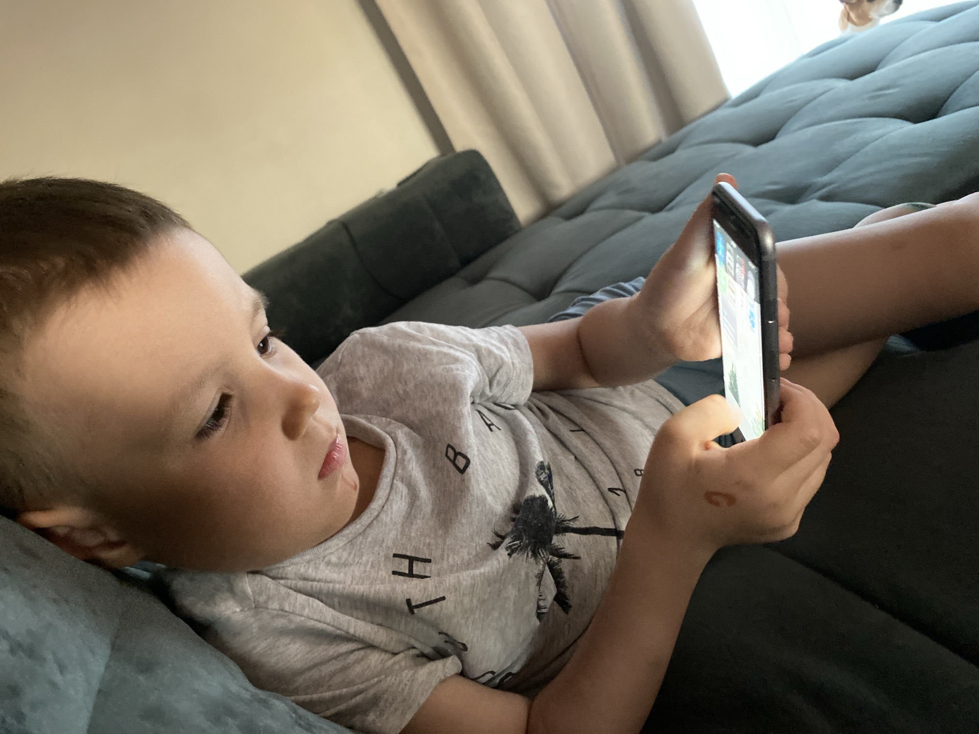 A young boy is lying on a dark grey couch, holding a black smartphone in his hands. He is focused on the screen. The boy has short brown hair and is wearing a grey t-shirt with a palm tree and the word "THAILAND" printed on it. The couch has a textured, quilted pattern. In the background, light-colored curtains are partially visible. A small dog appears to be peeking over the top of the couch in the far background. The scene is indoors and the location is in the city of Chaikovsky, Russia.