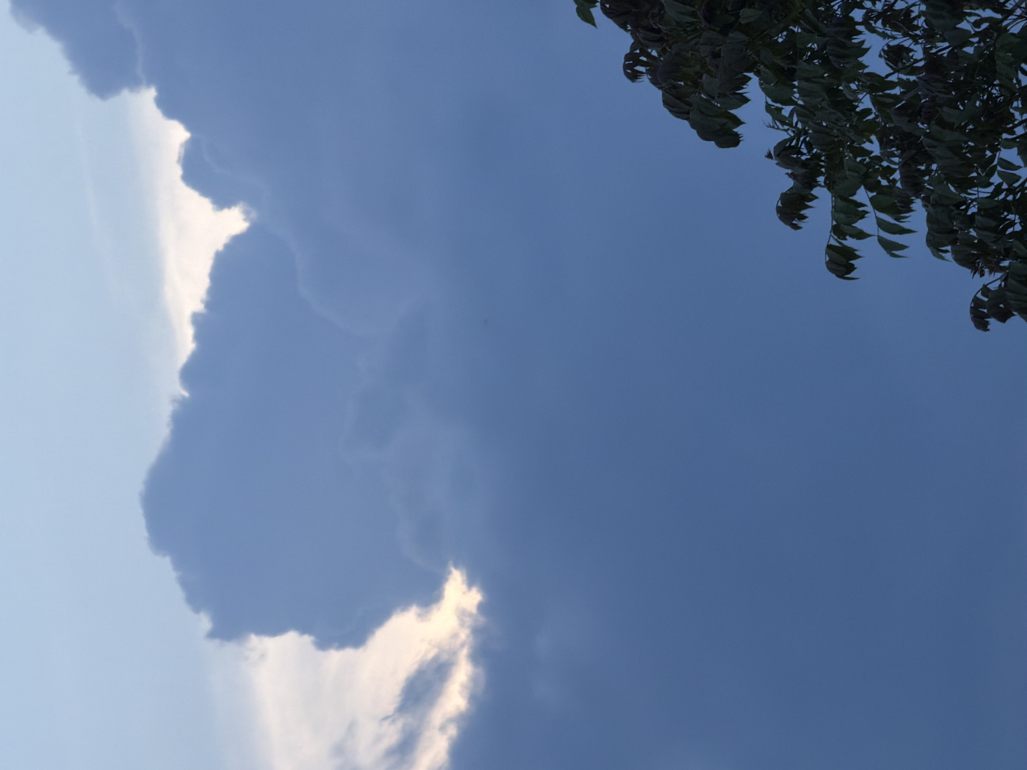 The image shows a cloudy sky with tree branches in the upper right corner. The sky is mostly blue, with a large, dark cloud on the left side. The cloud has a bright edge, suggesting the sun is behind it. The leaves of the tree are dark green and appear to be moving in the wind. There is no information about the location of the image within the city of Tbilisi, Georgia.