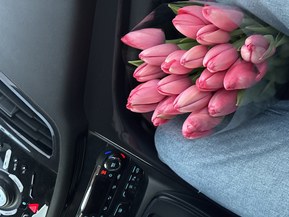 This image depicts a scene located in the city of Slavyansk-na-Kubani, Russia, inside the passenger compartment of a vehicle. The lower half of a person's body is visible in the lower left quadrant, wearing light blue denim jeans. Resting directly on the person's lap is a large bouquet of approximately 20-25 closed pink tulip flowers, wrapped in a translucent, possibly clear, plastic film. The upper right and center portions of the frame reveal the black interior dashboard and central console of the vehicle. Visible components of the console include a red illuminated hazard light button, a silver-trimmed dial with "MAX A/C" labeling and red/blue indicators, various black buttons (e.g., "MUTE," "TA," "P"), and horizontal air vents. The vehicle's interior is predominantly dark, suggesting black or dark gray materials. No active actions or explicit interactions are observed beyond the placement of the floral bouquet.