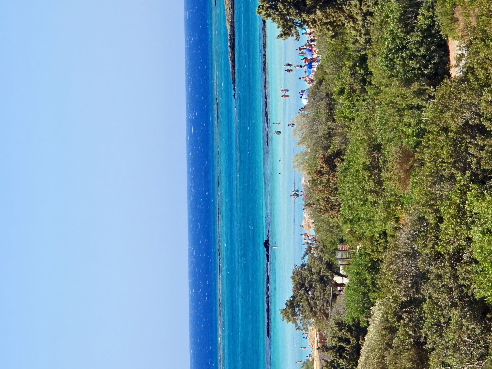 The image depicts a crowded beach scene on a sunny day. The foreground is dominated by lush green vegetation, including trees and bushes. Beyond the foliage, a sandy beach is visible with numerous people sunbathing, walking, and swimming in the clear turquoise water. Several umbrellas are scattered on the beach, providing shade. The sea stretches out to the horizon, with darker blue water further out and lighter turquoise water closer to the shore. A few rocky outcrops are present in the sea. The sky is a clear, bright blue. The scene appears to be a popular tourist destination, likely in Greece, given the presence of Mediterranean vegetation and the typical beach setting.