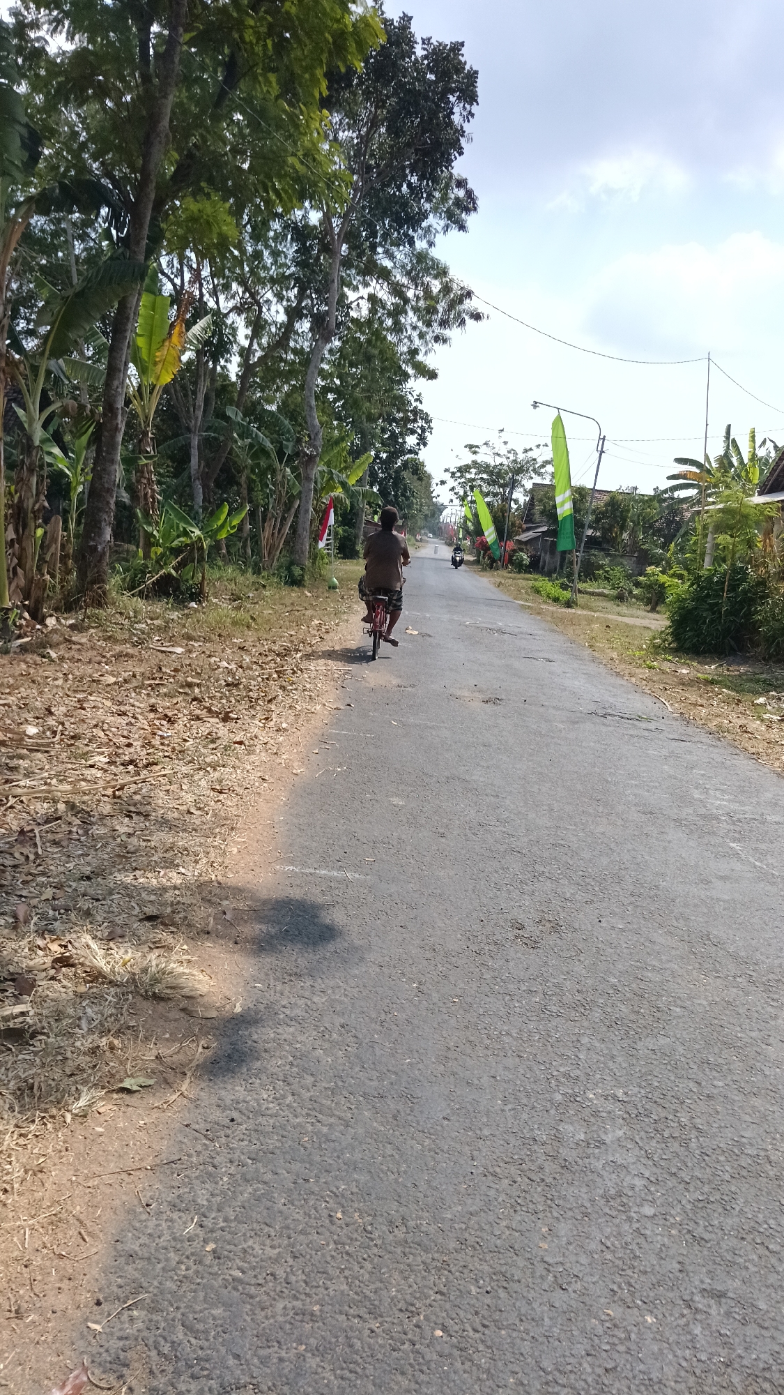 The image shows a person riding a bicycle on a paved road in Wates, Indonesia. The road is lined with trees and vegetation on the left side, and houses and more trees on the right side. There are several green flags displayed along the right side of the road, possibly indicating a local celebration or event. In the distance, another person is seen riding a motorcycle. The sky is partly cloudy. The overall scene depicts a rural or semi-urban environment in Indonesia during the daytime.