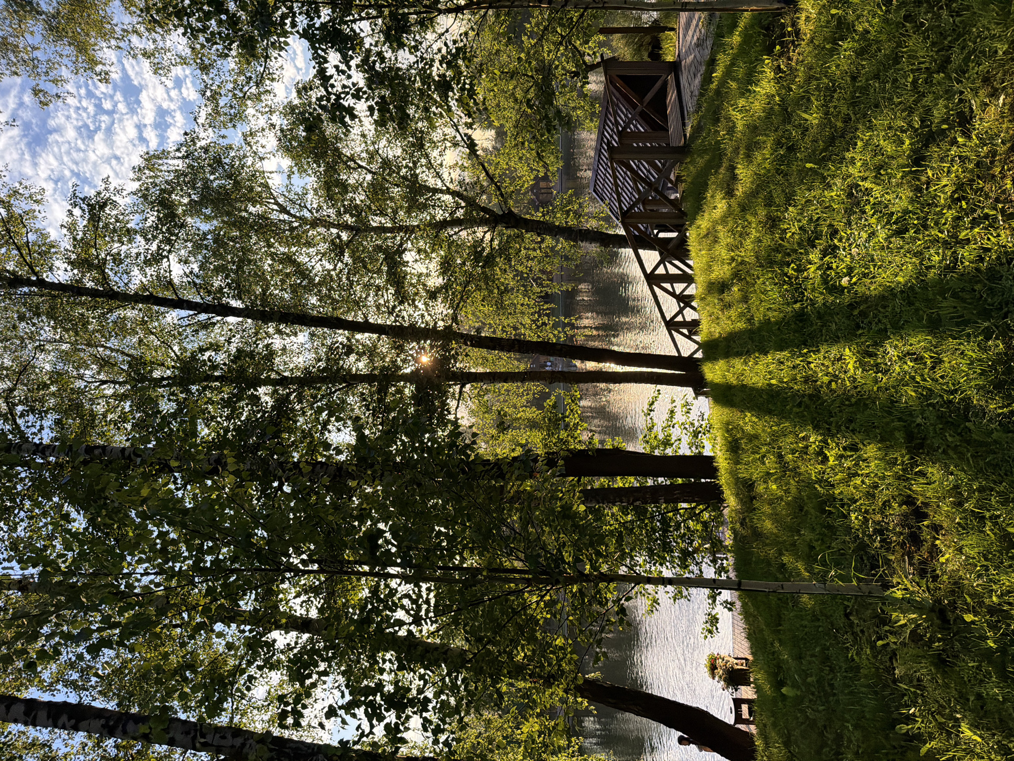 The image depicts a tranquil waterside setting in Роса Снт, Russia. A wooden gazebo stands adjacent to a lush green grassy area, its shadow stretching across the lawn. Several slender trees, possibly birches, frame the scene. Their leafy branches reach towards a sky dotted with scattered clouds. The sun shines through the trees, creating a starburst effect. The water surface reflects the ambient light. A small bench is seen further along the shoreline. The photograph is taken from a low angle, looking up through the trees.
