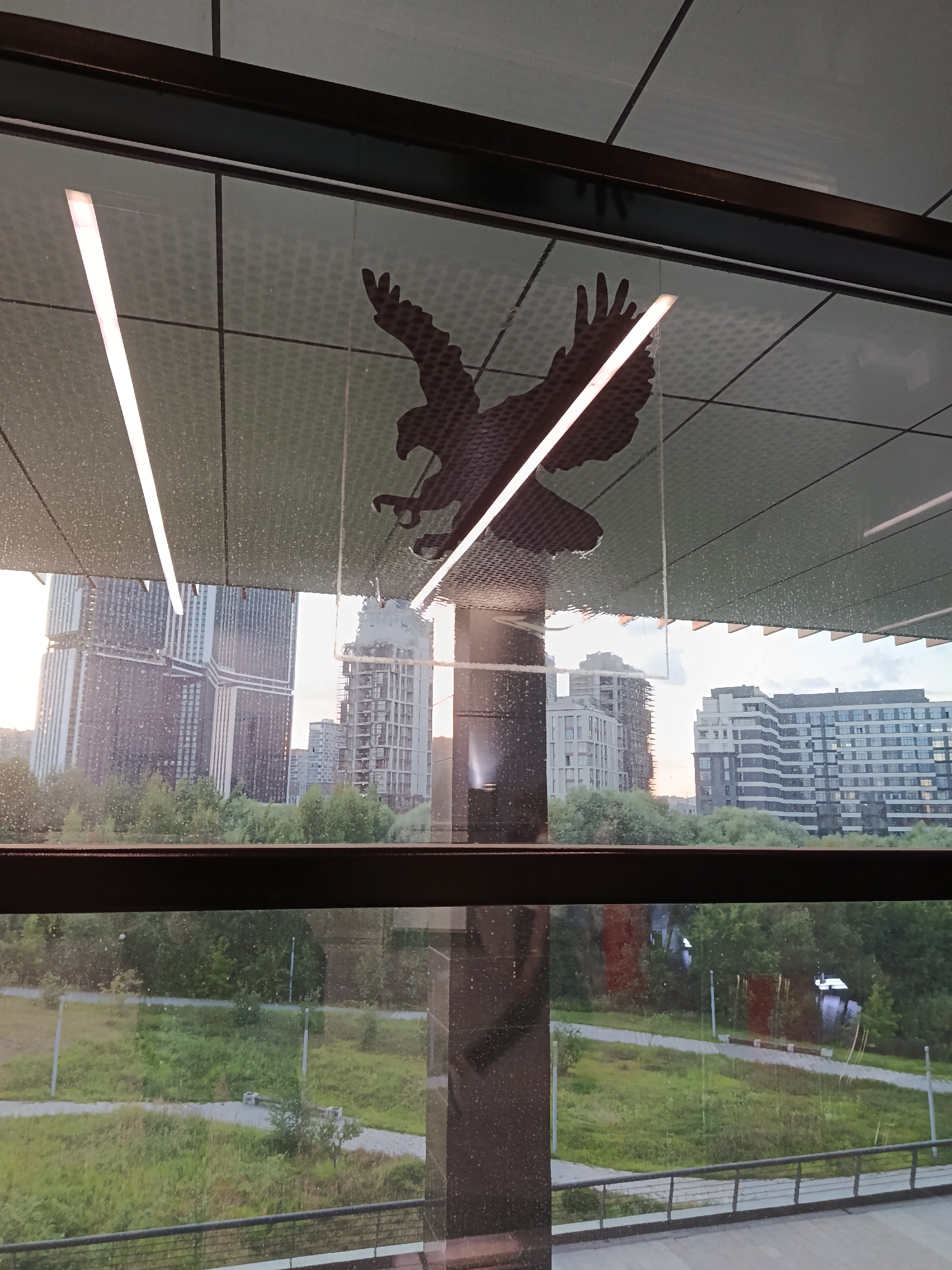 The image, taken indoors looking out through a window, shows a silhouette of an eagle with outstretched wings against a background of modern cityscape. The eagle is positioned on a speckled ceiling with two fluorescent lights running parallel to each other behind it. Through the window, a distant view of several high-rise buildings under construction or recently built is visible, interspersed with trees. The foreground outside the window reveals a park-like setting with pathways and green grass. The window itself has some water droplets or smudges, and a dark, reflective pillar is visible to the right of the eagle silhouette. The overall lighting suggests it is daytime, possibly late afternoon, given the soft light.