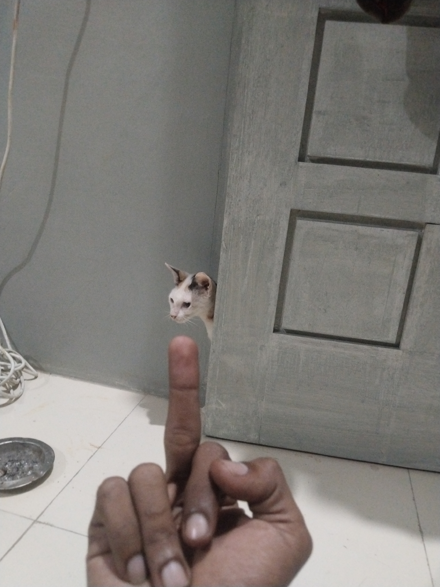 A photograph taken indoors shows a person's hand making an obscene gesture, specifically the middle finger is raised. In the background, a white and gray cat is peering from behind a gray wooden door. The location appears to be a corner of a room with gray walls and a light-colored tiled floor. An ashtray with debris is visible near the bottom left. Based on geolocation data, the location is identified as Kutaglumpang, Indonesia.