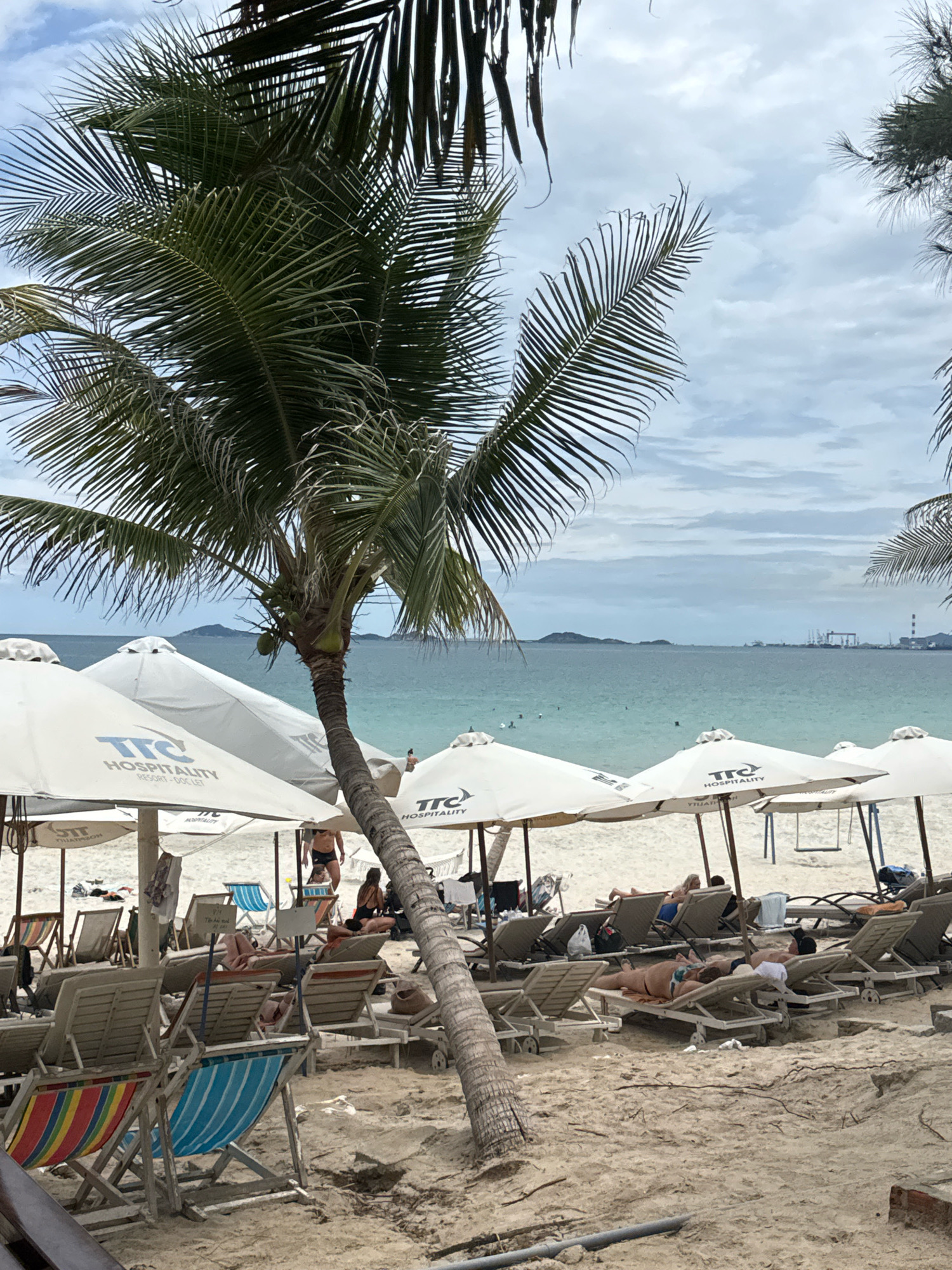 In the city of Dong Ninh Hoa, Vietnam, a beach scene unfolds under a cloudy sky. In the foreground, a tilted palm tree with green coconuts stands prominently, its fronds creating a natural frame for the view. The sand is occupied by numerous lounge chairs, many of which are empty, while others host sunbathers. Several white umbrellas provide shade over the chairs. In the middle ground, the turquoise sea stretches towards the horizon, dotted with distant islands and industrial structures. The water appears calm, with a few people swimming or wading near the shore. The overall atmosphere is relaxed and typical of a beach resort.