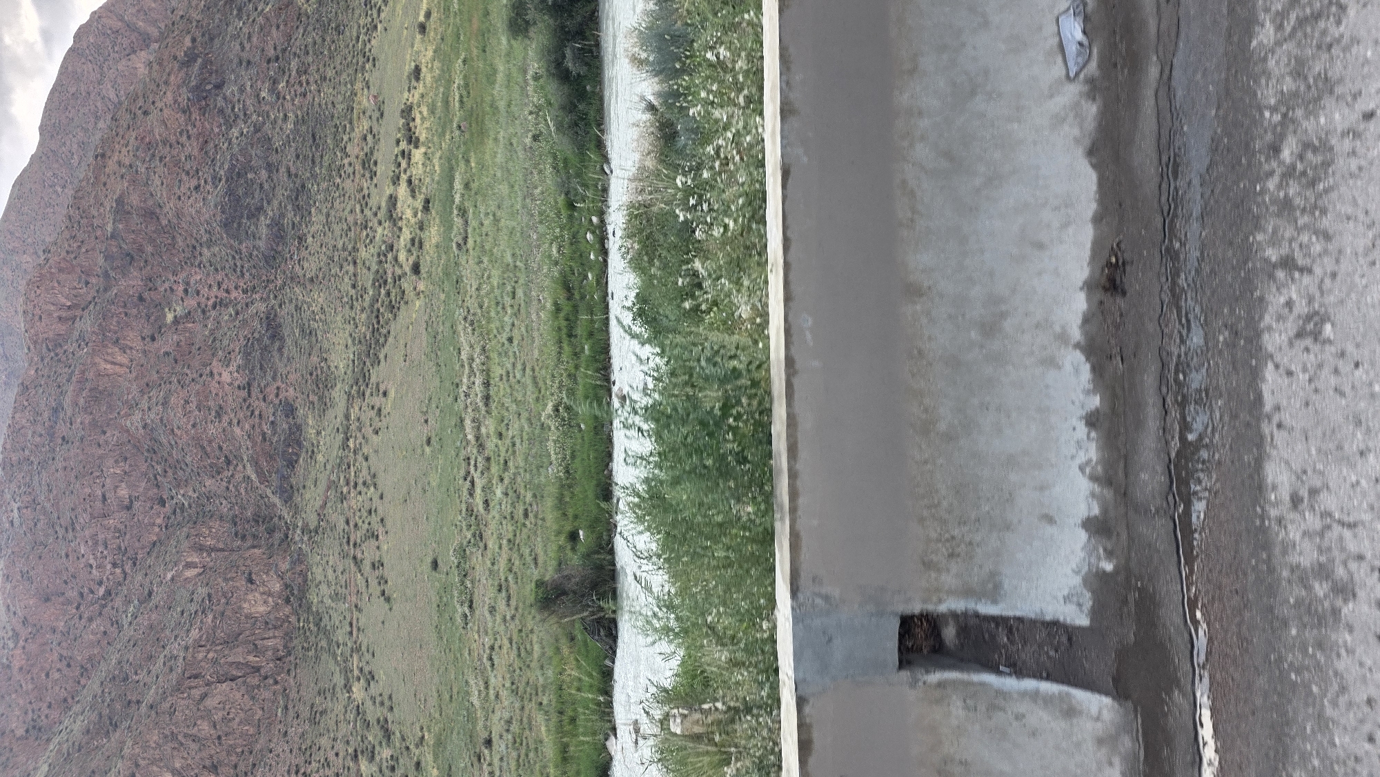The image depicts a natural landscape with a mountain range in the background, a grassy slope, a river, and a concrete barrier in the foreground. The mountain range is rocky and predominantly reddish-brown, with patches of green vegetation. The grassy slope leading down to the river is a mix of green and dry grasses, with scattered shrubs. The river appears to be flowing, with its surface reflecting the light. Along the riverbank, there are green plants, including some with small white flowers. In the immediate foreground, a weathered concrete barrier runs horizontally across the image. A dark, rectangular opening is visible in the lower left section of the barrier. The ground next to the barrier is asphalt, with some damp patches and a visible crack. The overall scene suggests a natural environment, possibly near a road, in the vicinity of Kok-Dzhar, Kyrgyzstan, given the provided context. There are no people or specific actions observed in the image.